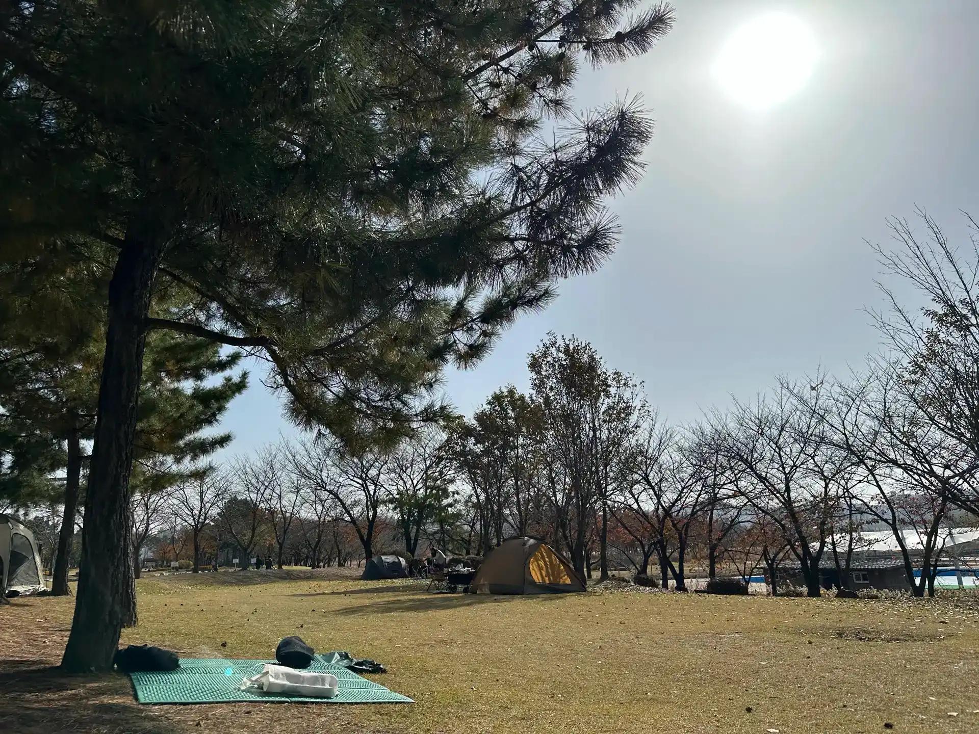 크루톡 이미지 3