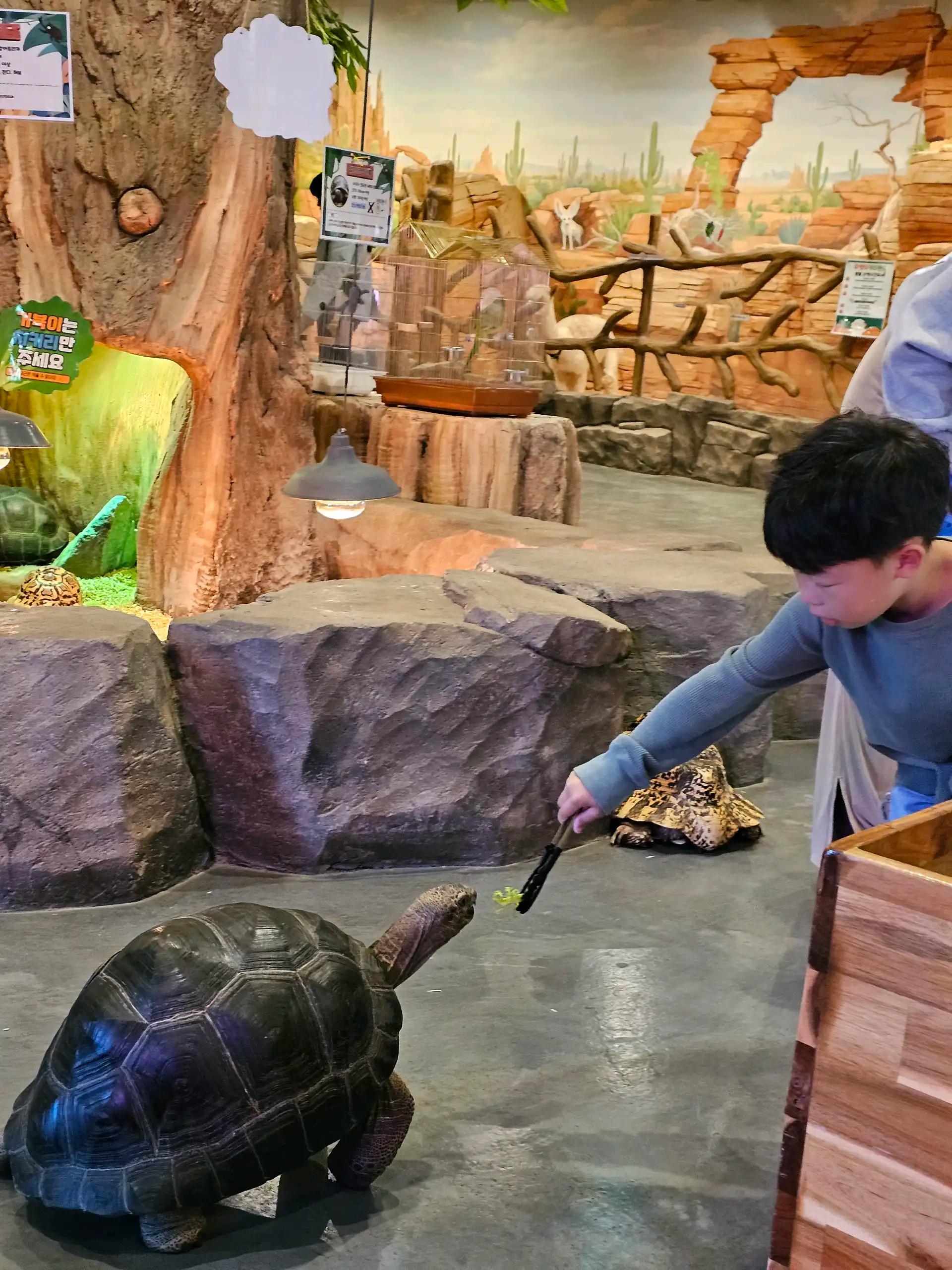 크루톡 이미지 3