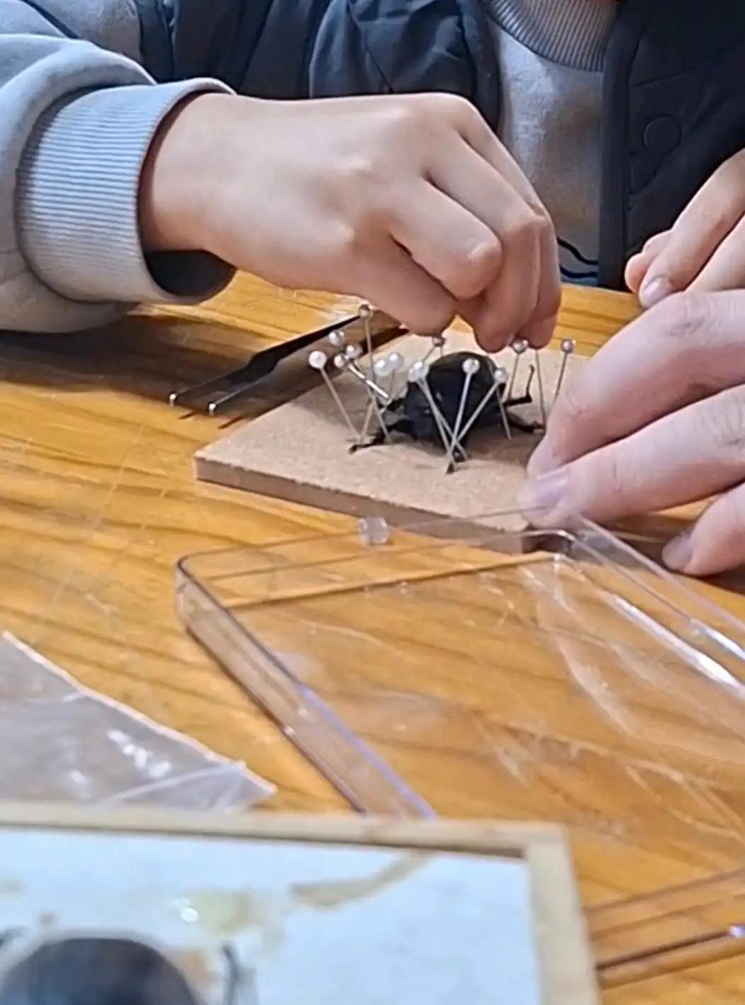 크루톡 이미지 2