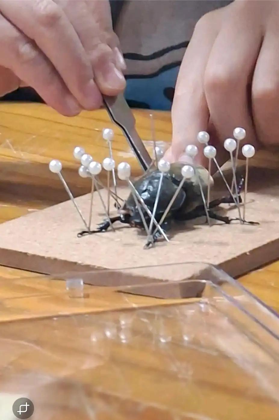 크루톡 이미지 3