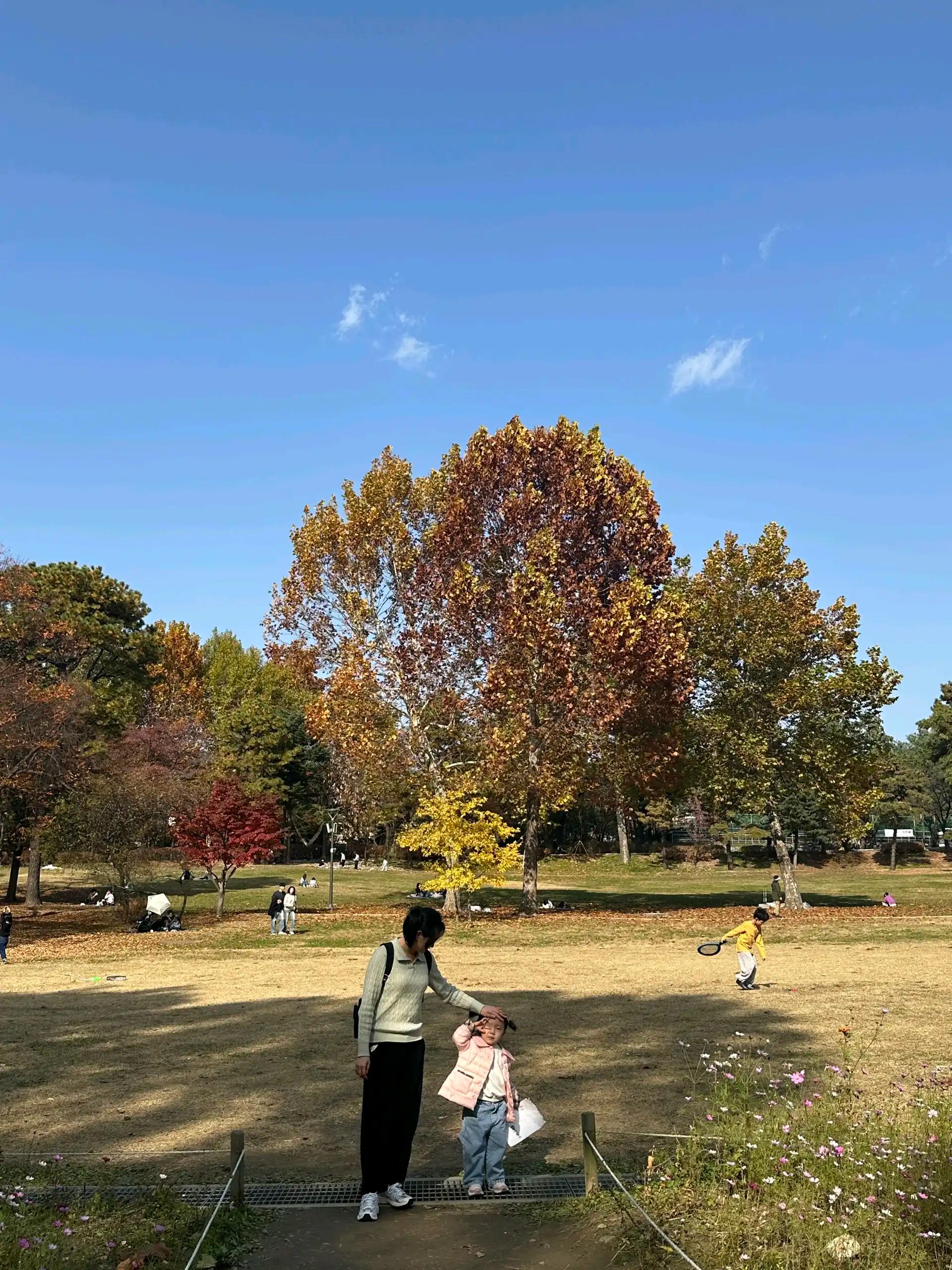 크루톡 이미지 2