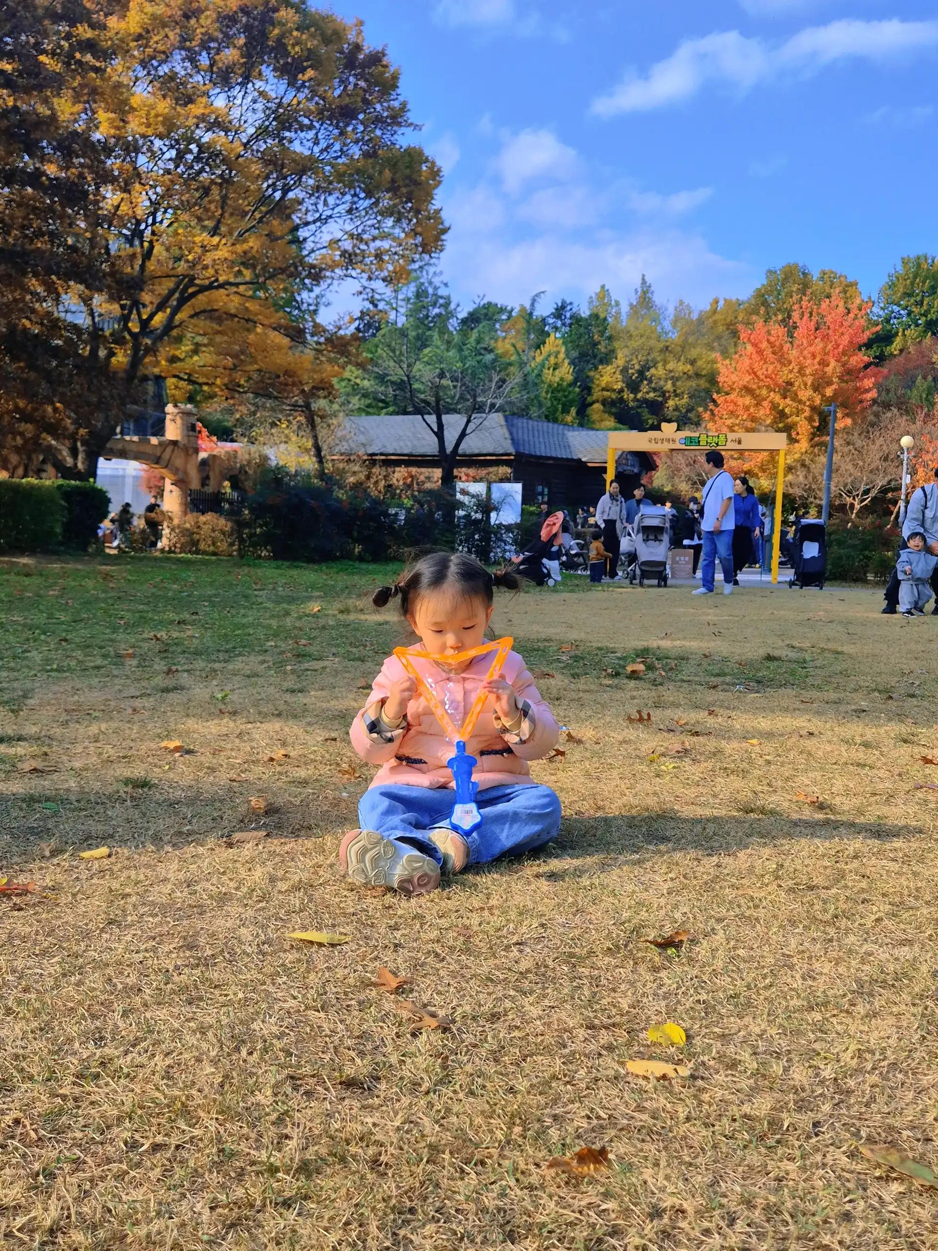 크루톡 이미지 6