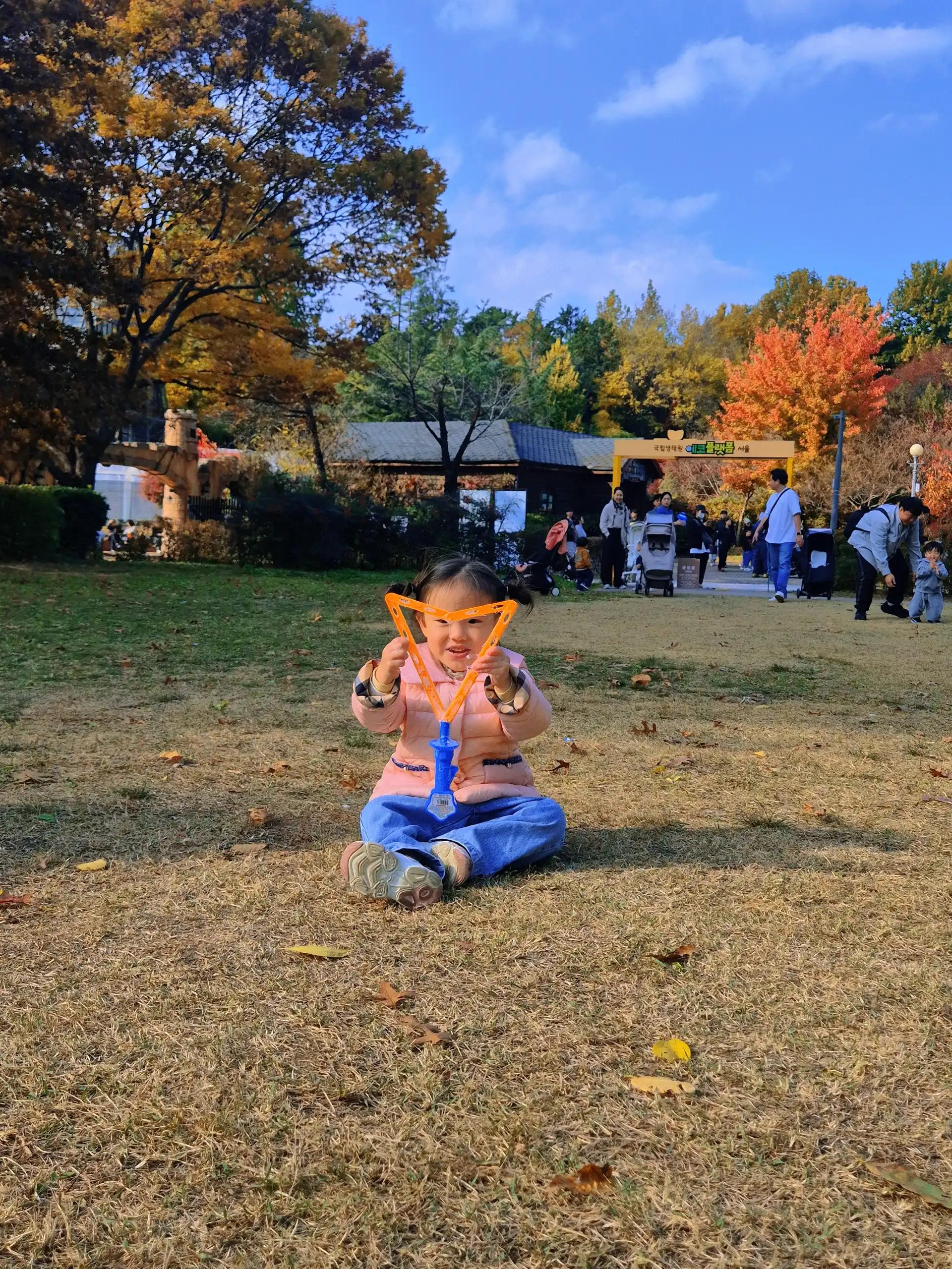 크루톡 이미지 7