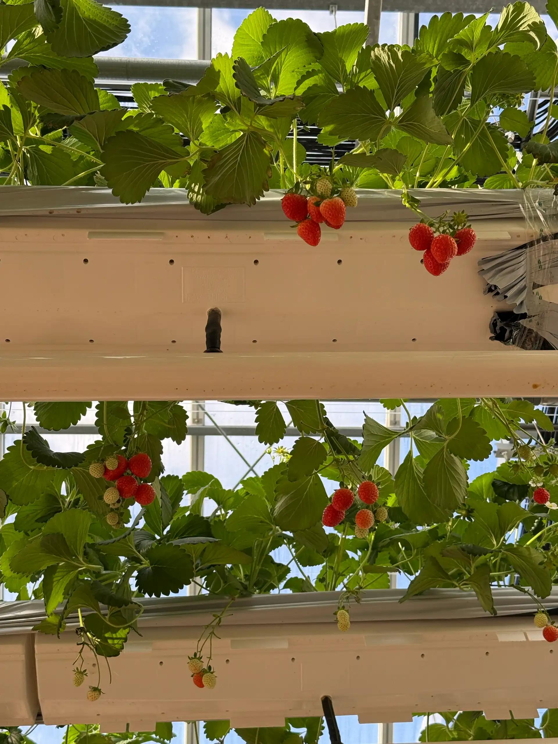 크루톡 이미지 7