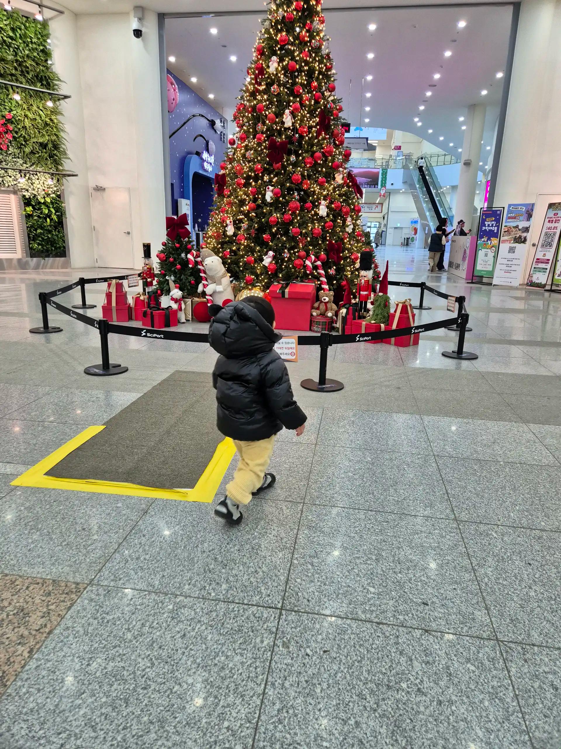 크루톡 이미지 2