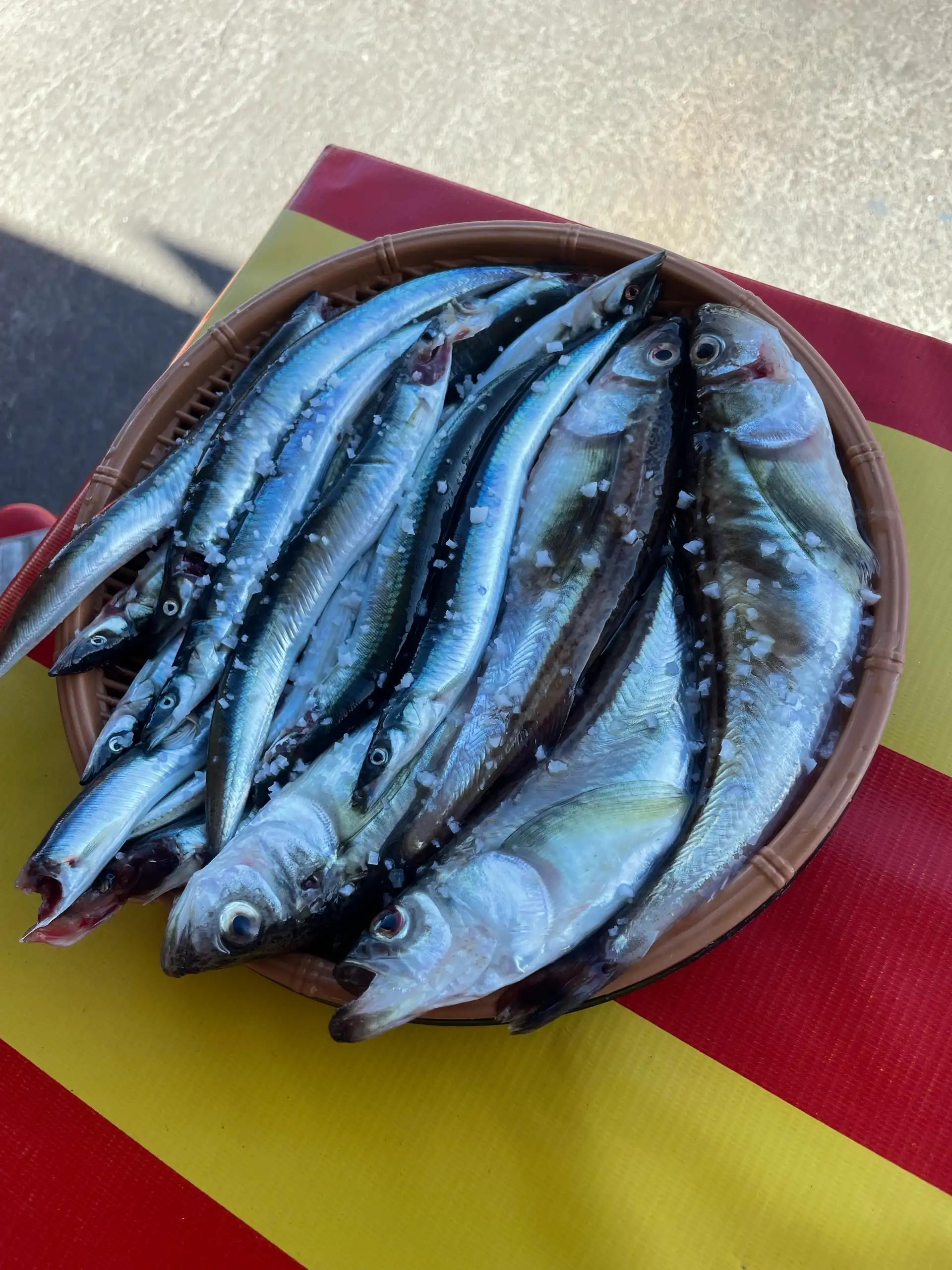 크루톡 이미지 3