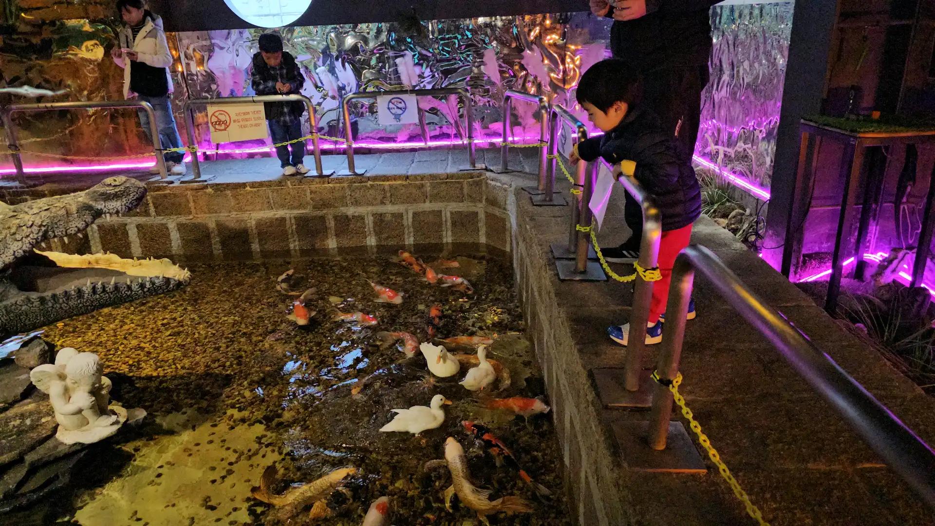 크루톡 이미지 4