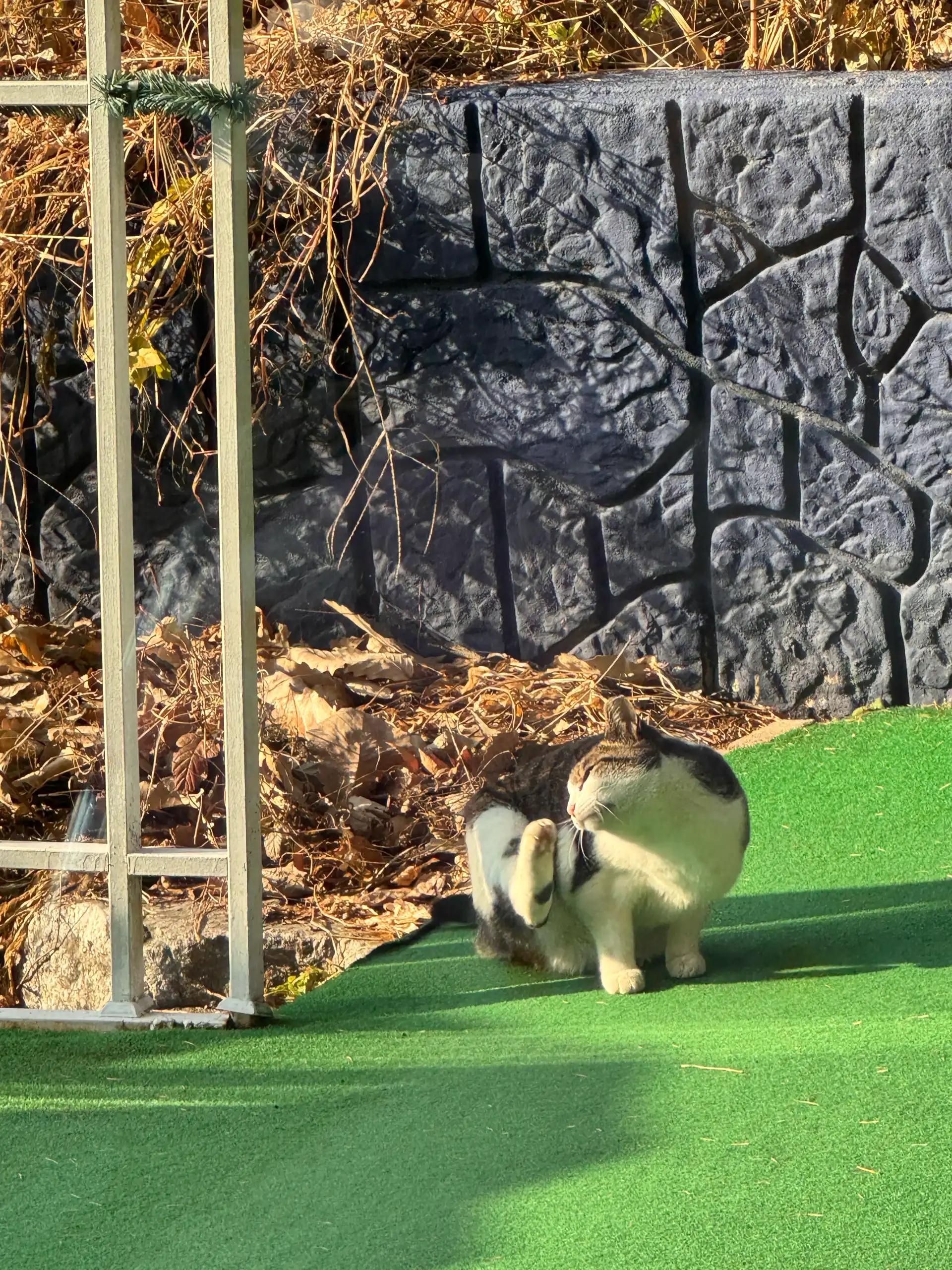 크루톡 이미지 2