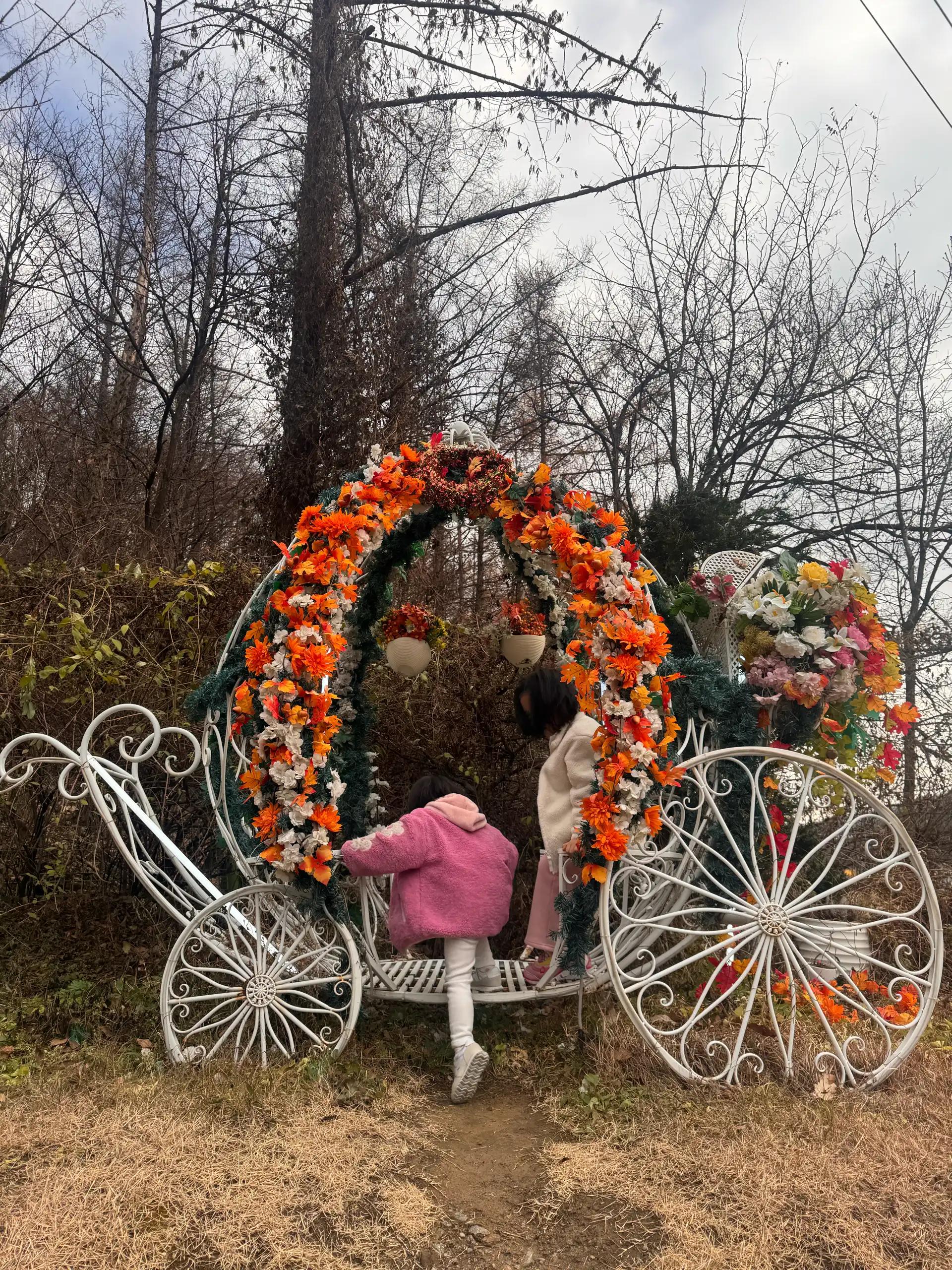 크루톡 이미지 4