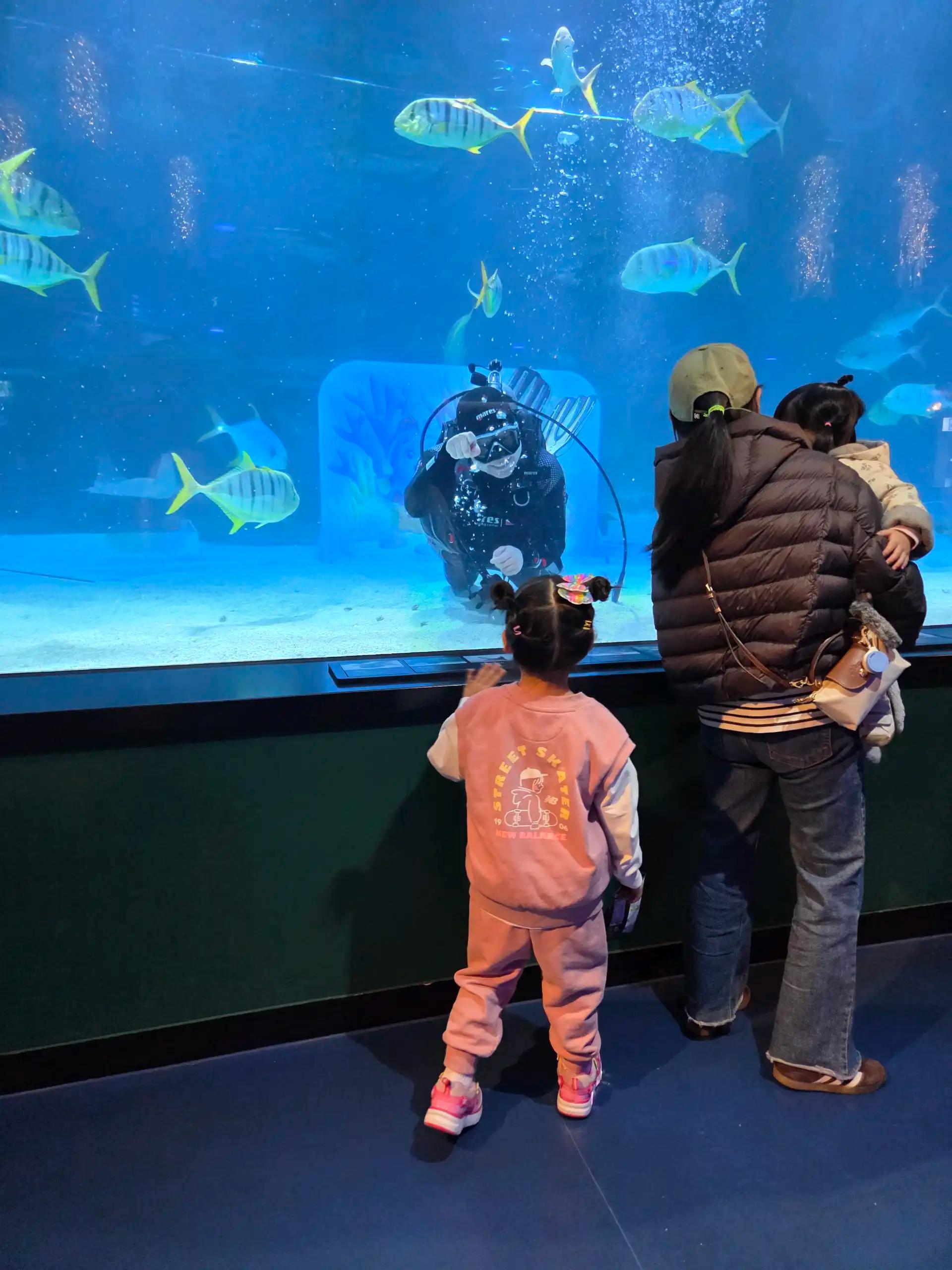 크루톡 이미지 1