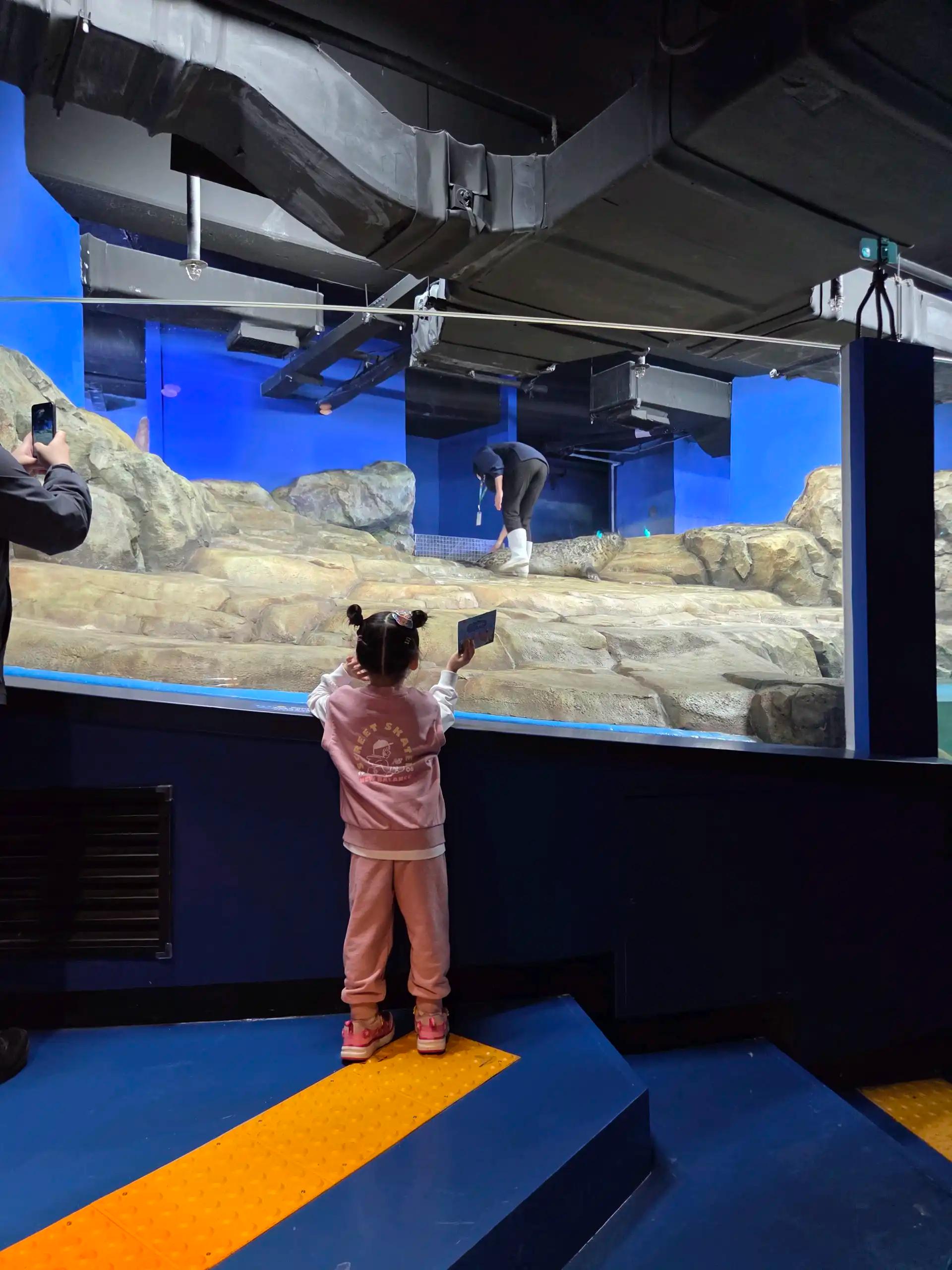 크루톡 이미지 4