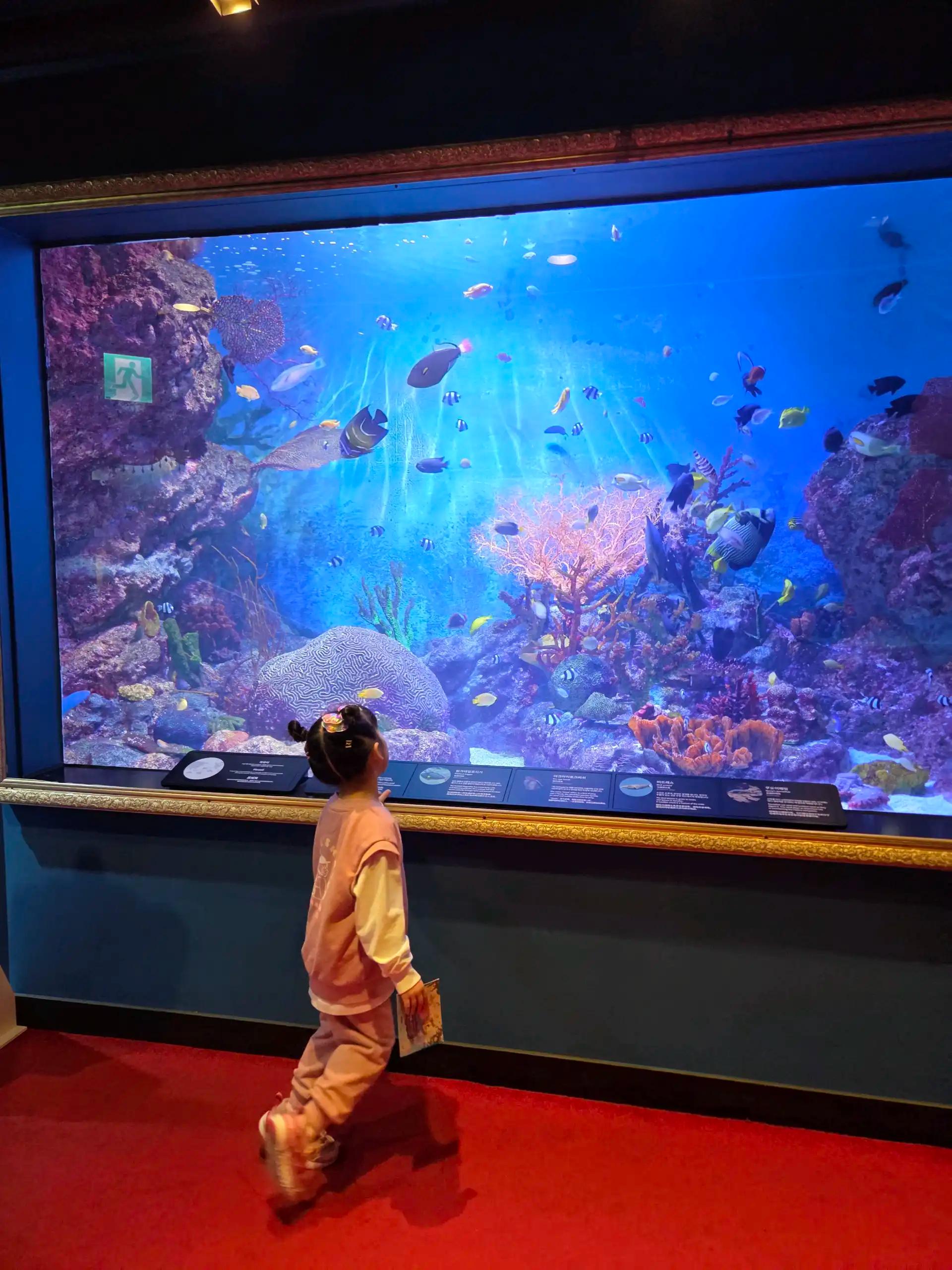 크루톡 이미지 5