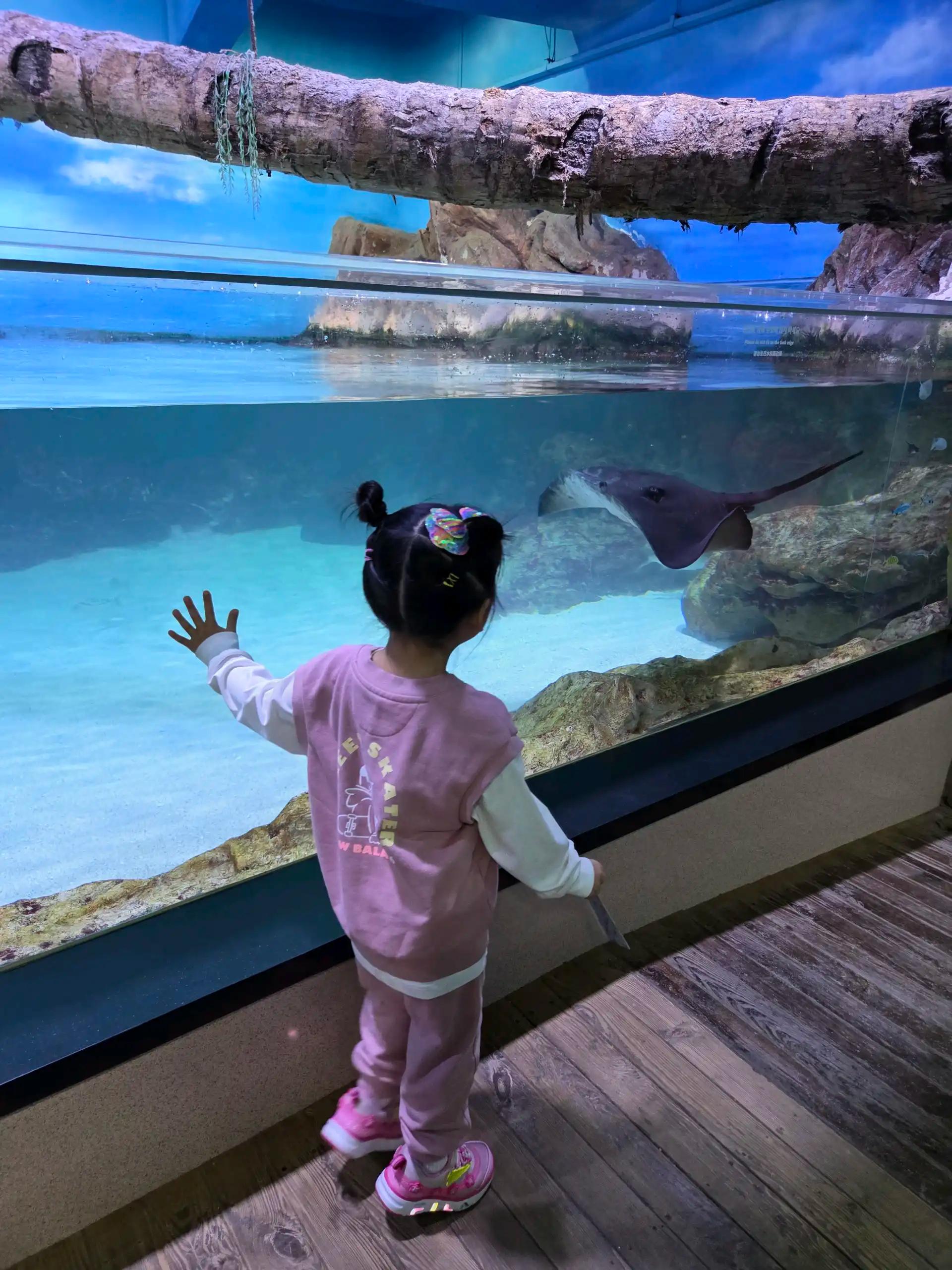 크루톡 이미지 6