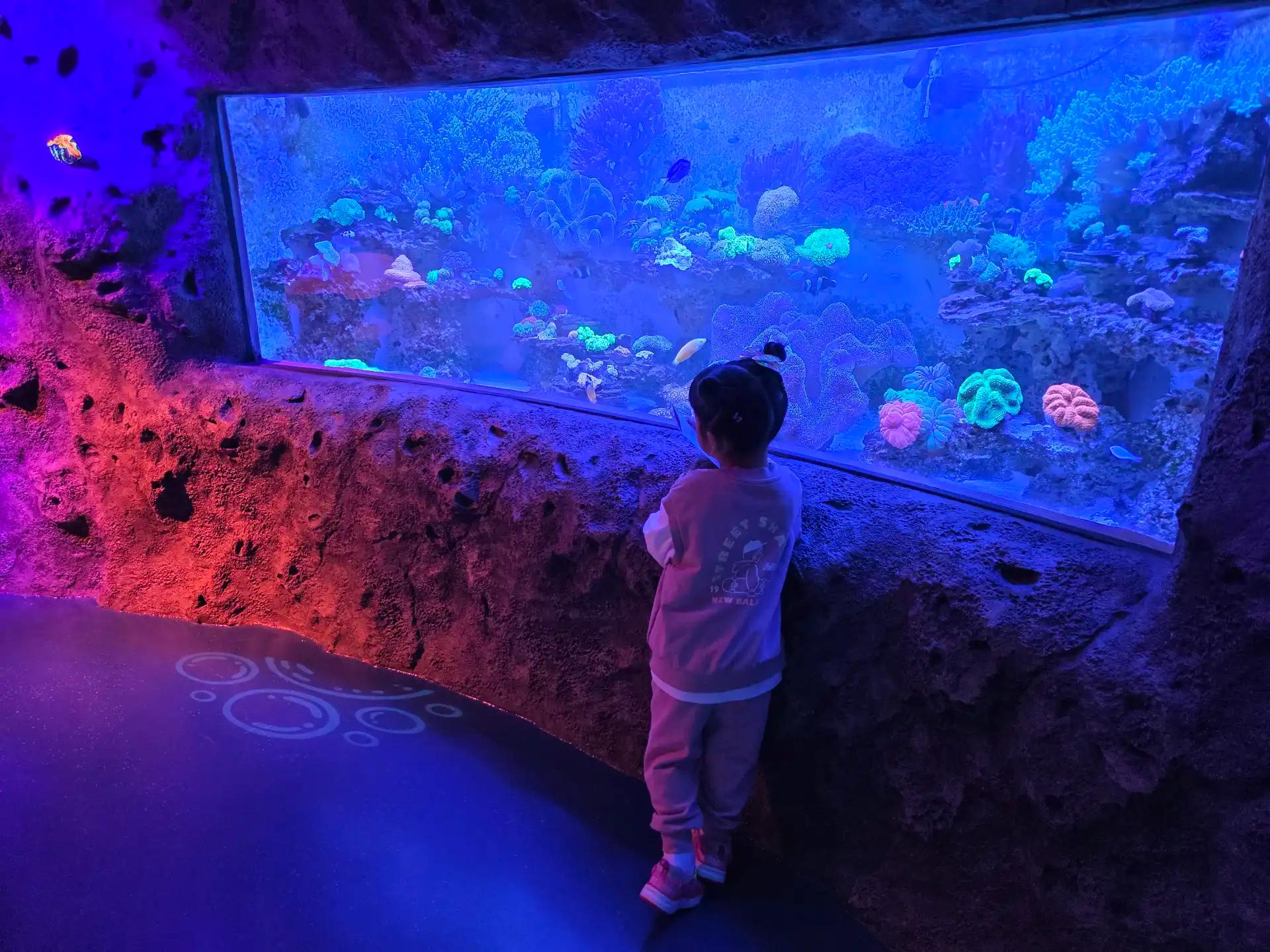 크루톡 이미지 8