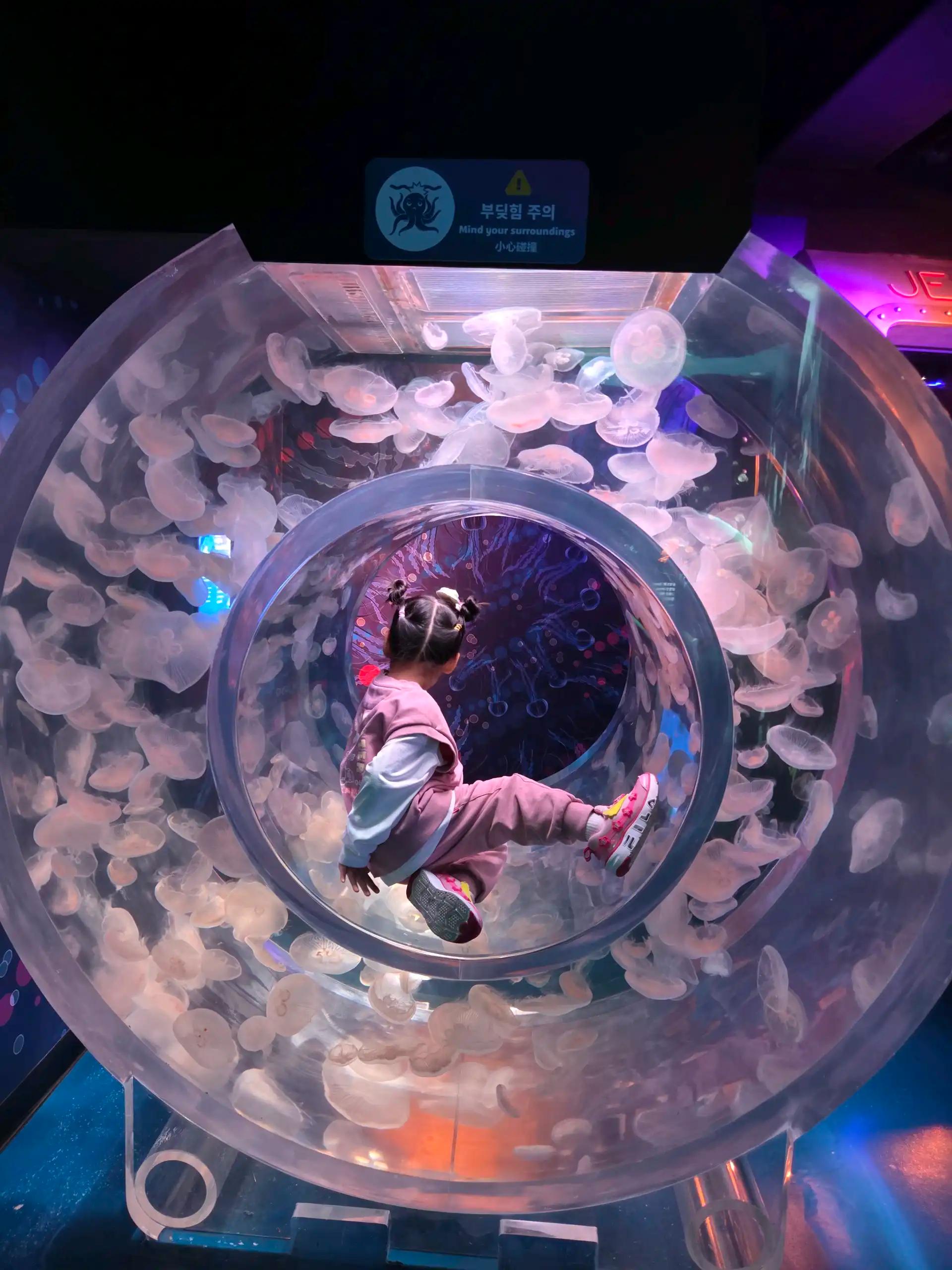 크루톡 이미지 9