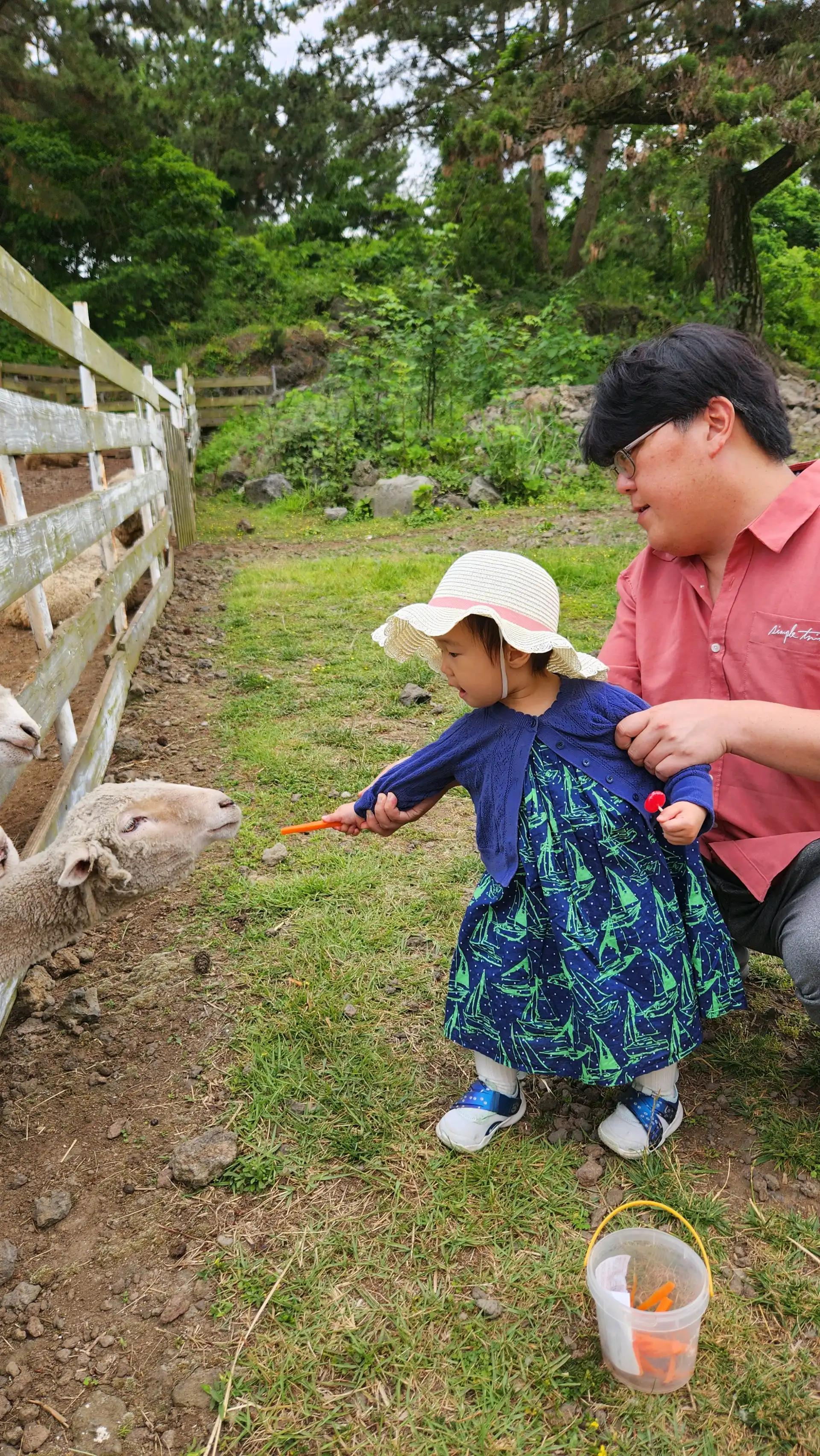 크루톡 이미지 3