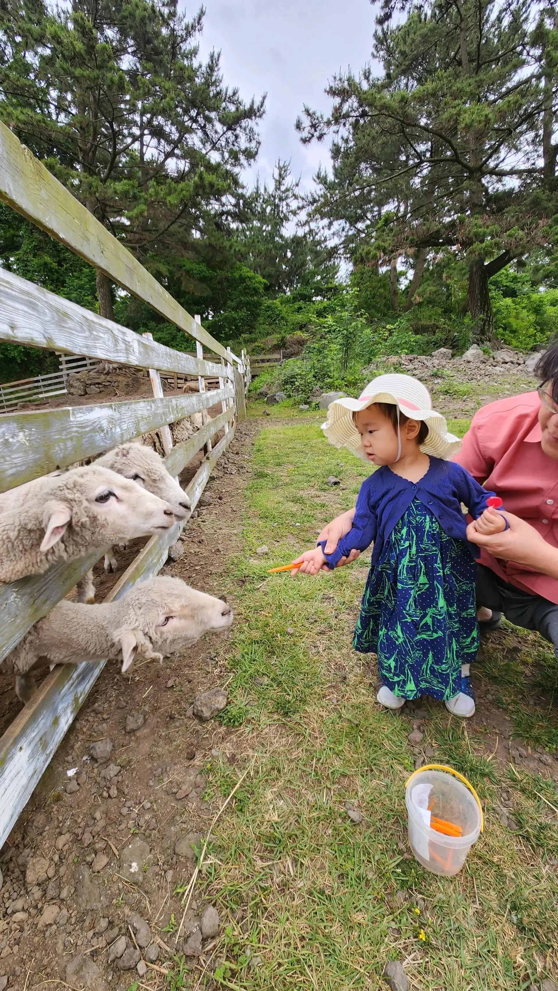 크루톡 이미지 5