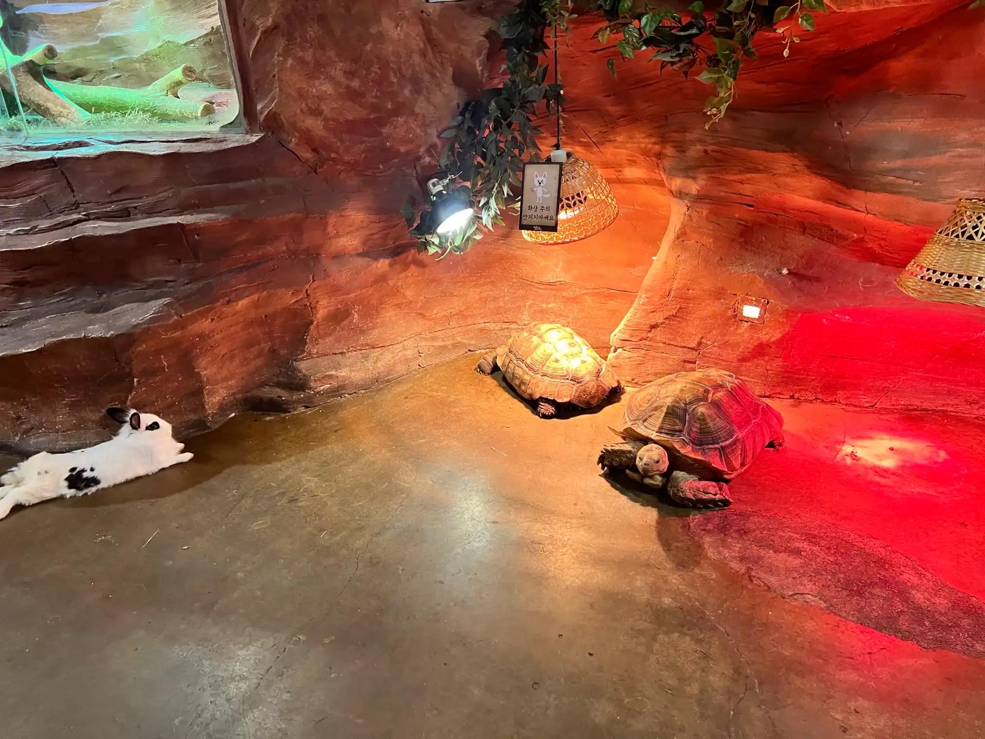 크루톡 이미지 2