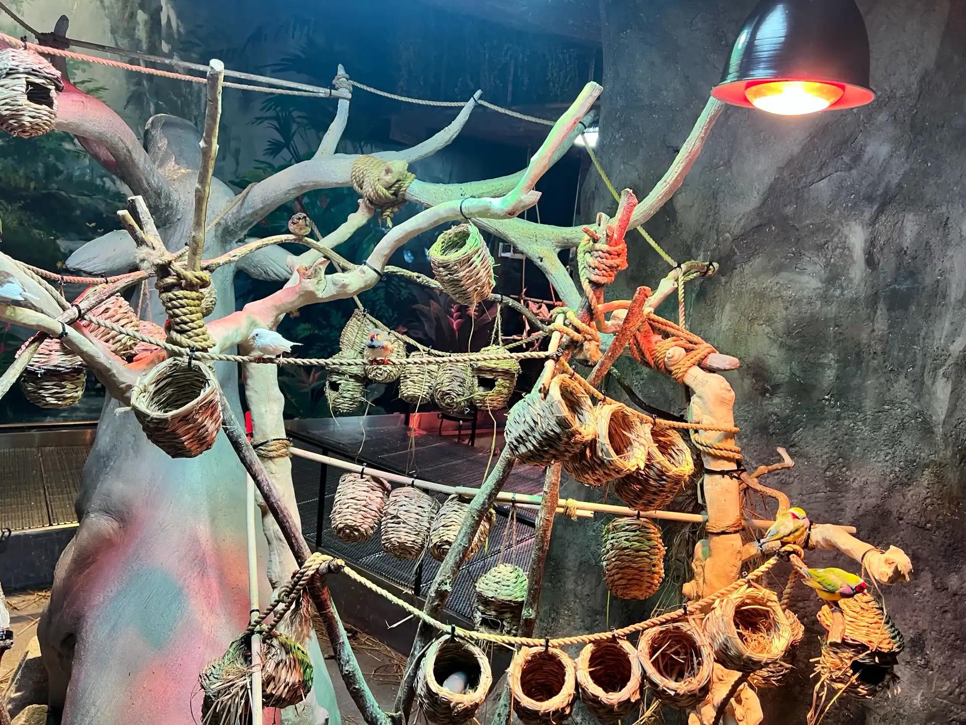 크루톡 이미지 3