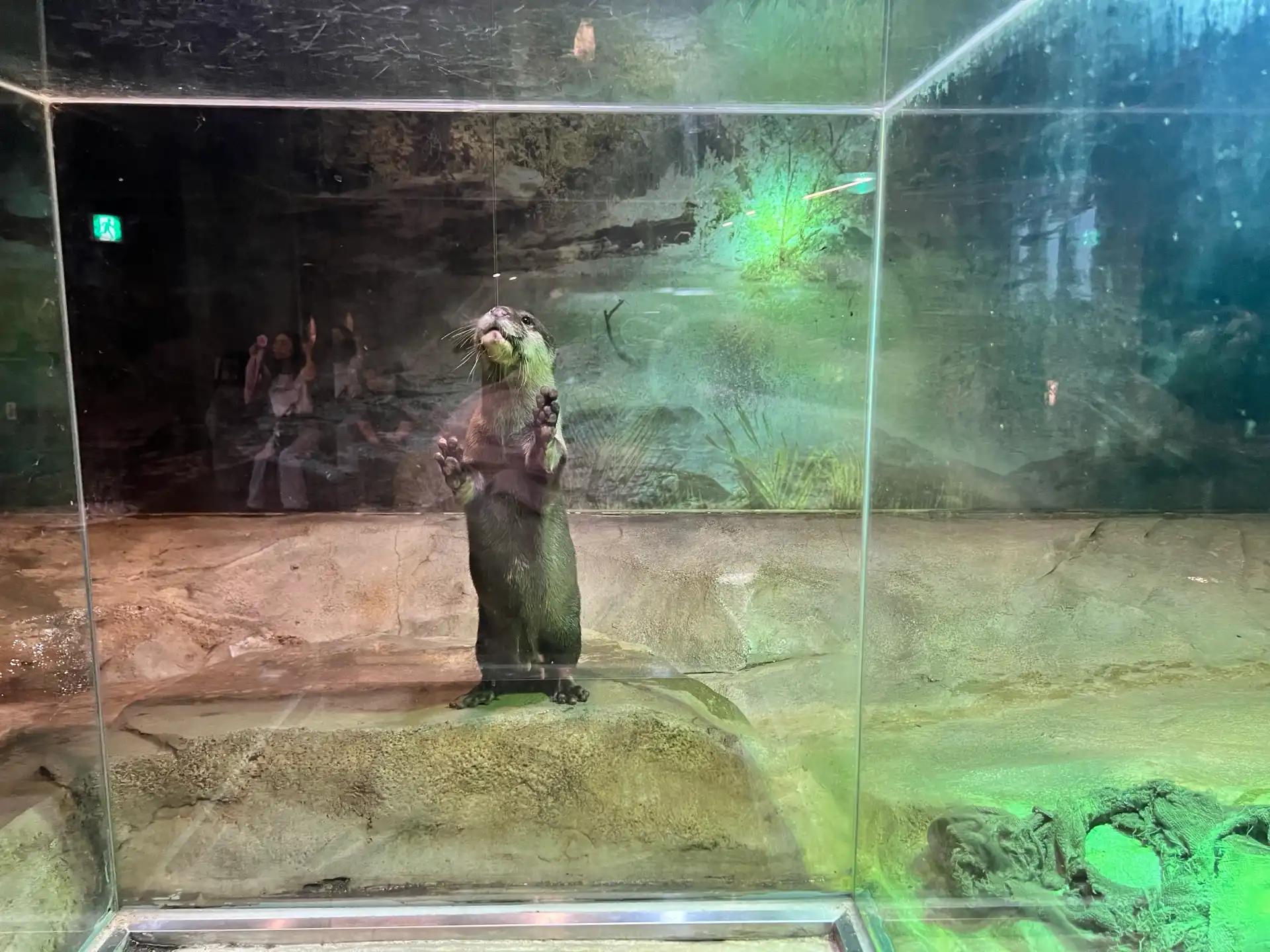 크루톡 이미지 4