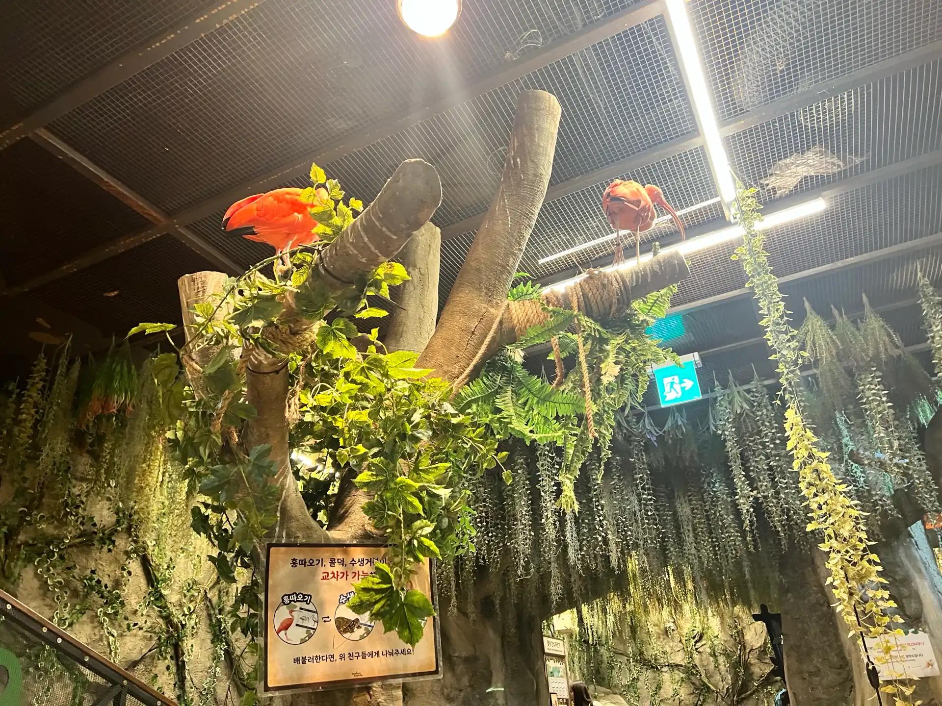 크루톡 이미지 7