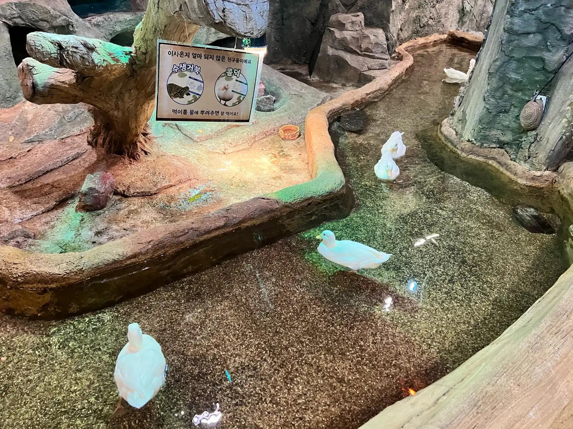 크루톡 이미지 8