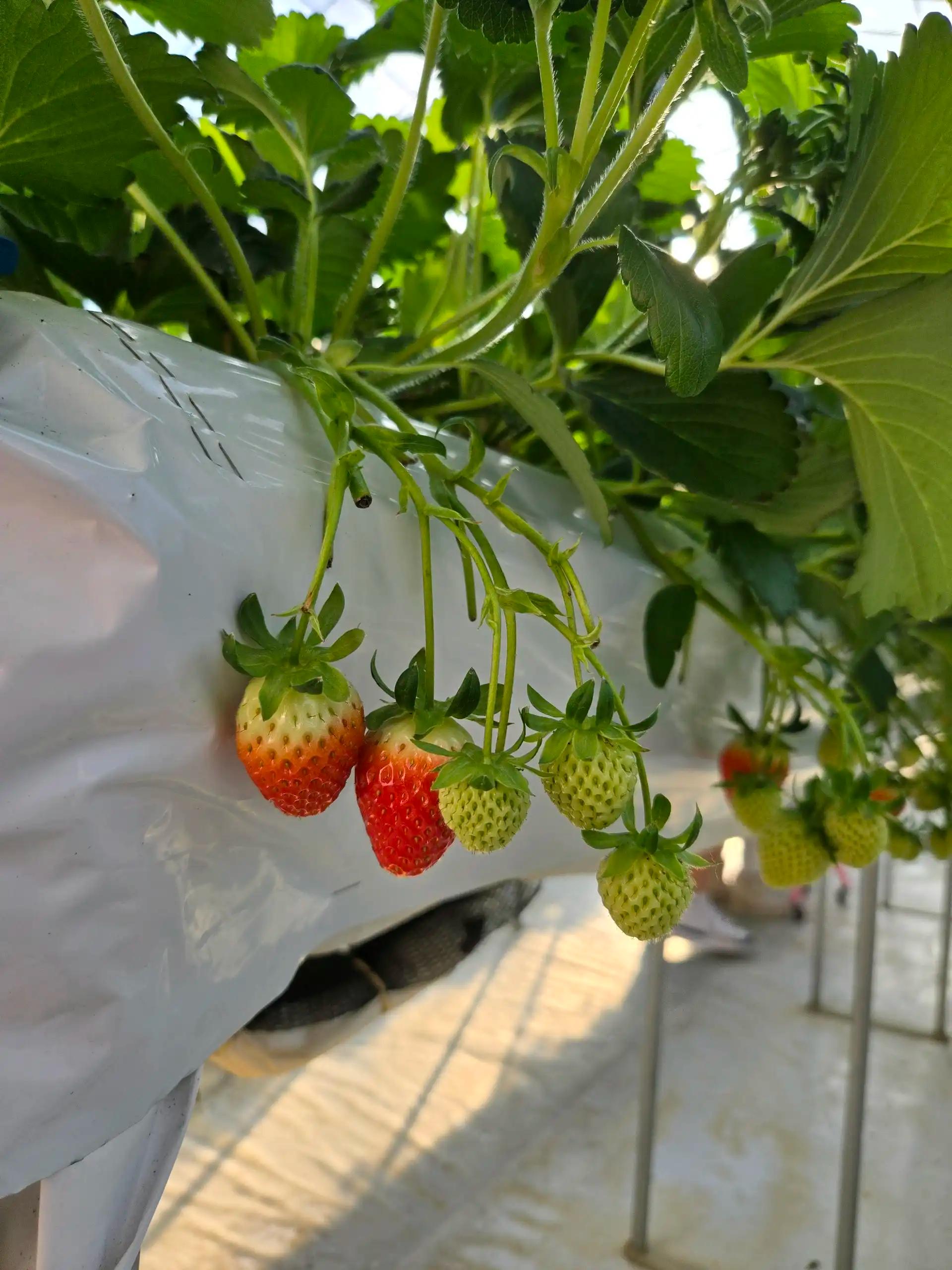 크루톡 이미지 1