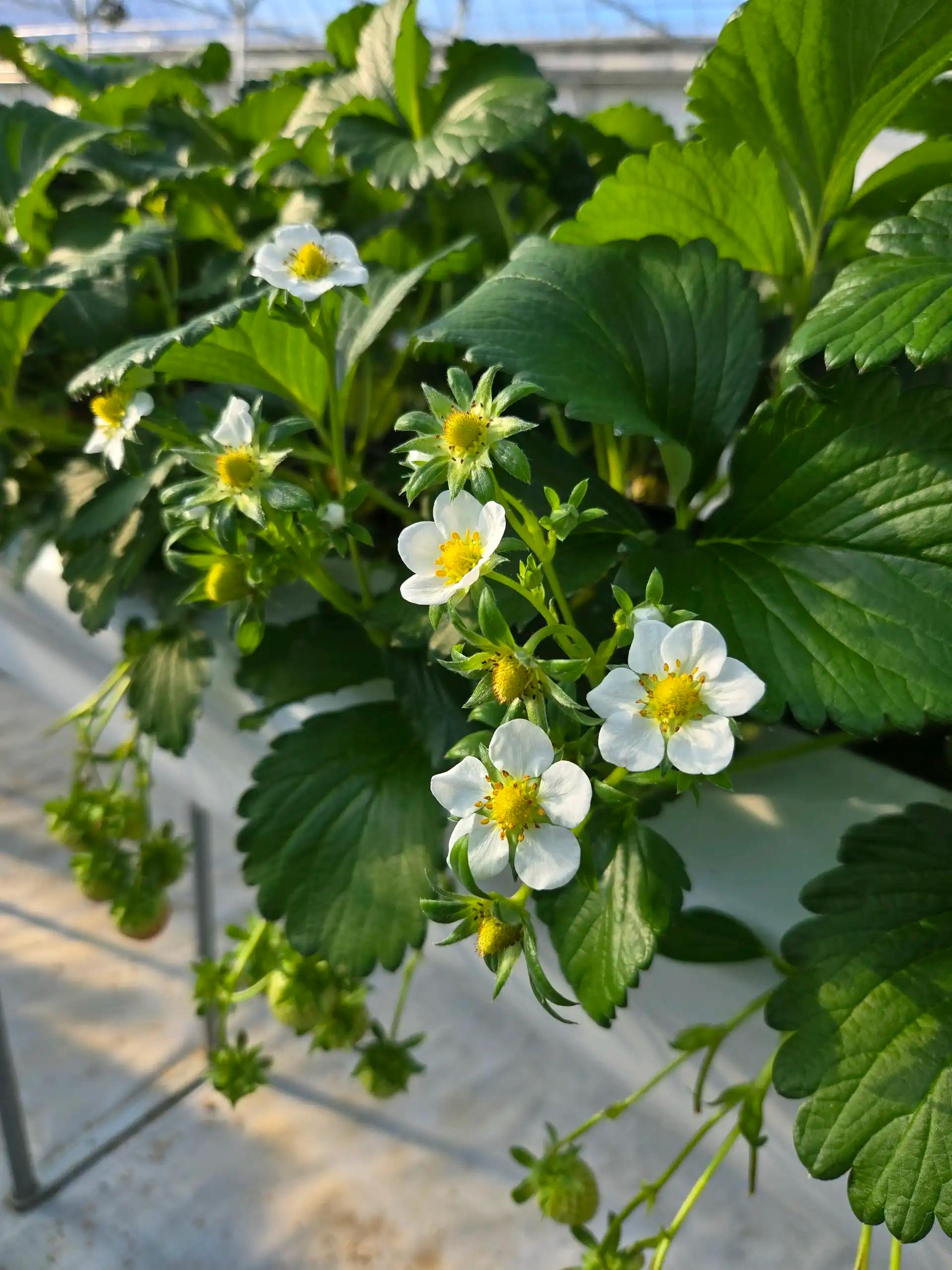 크루톡 이미지 2