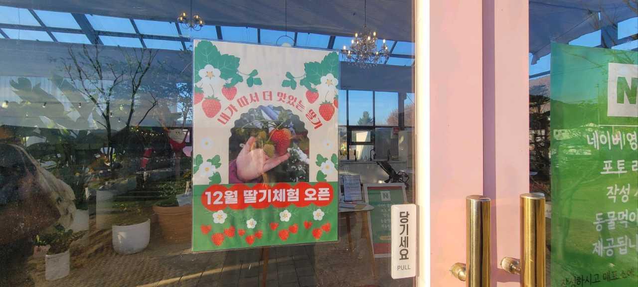 크루톡 이미지 4