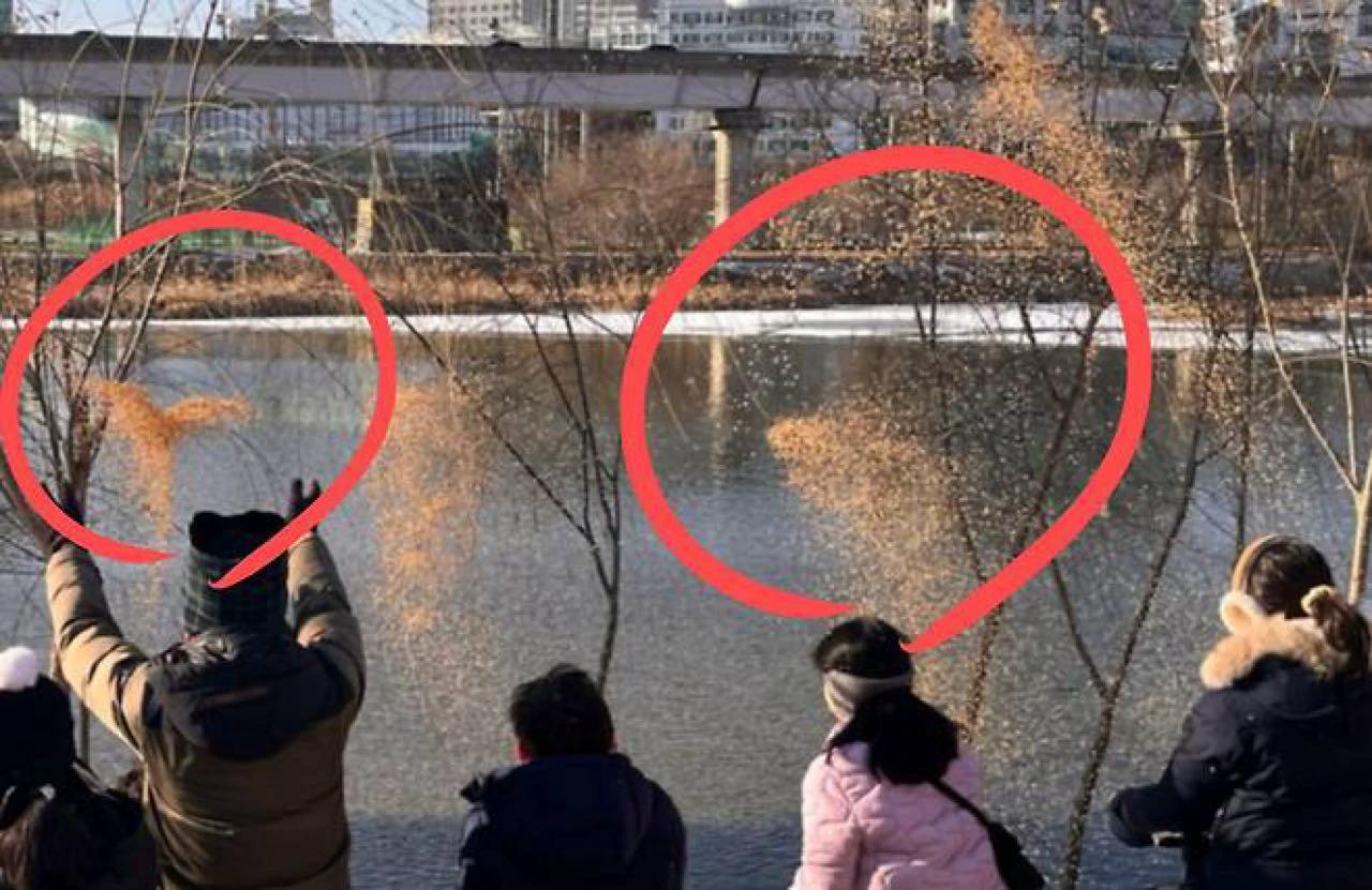 크루톡 이미지 1