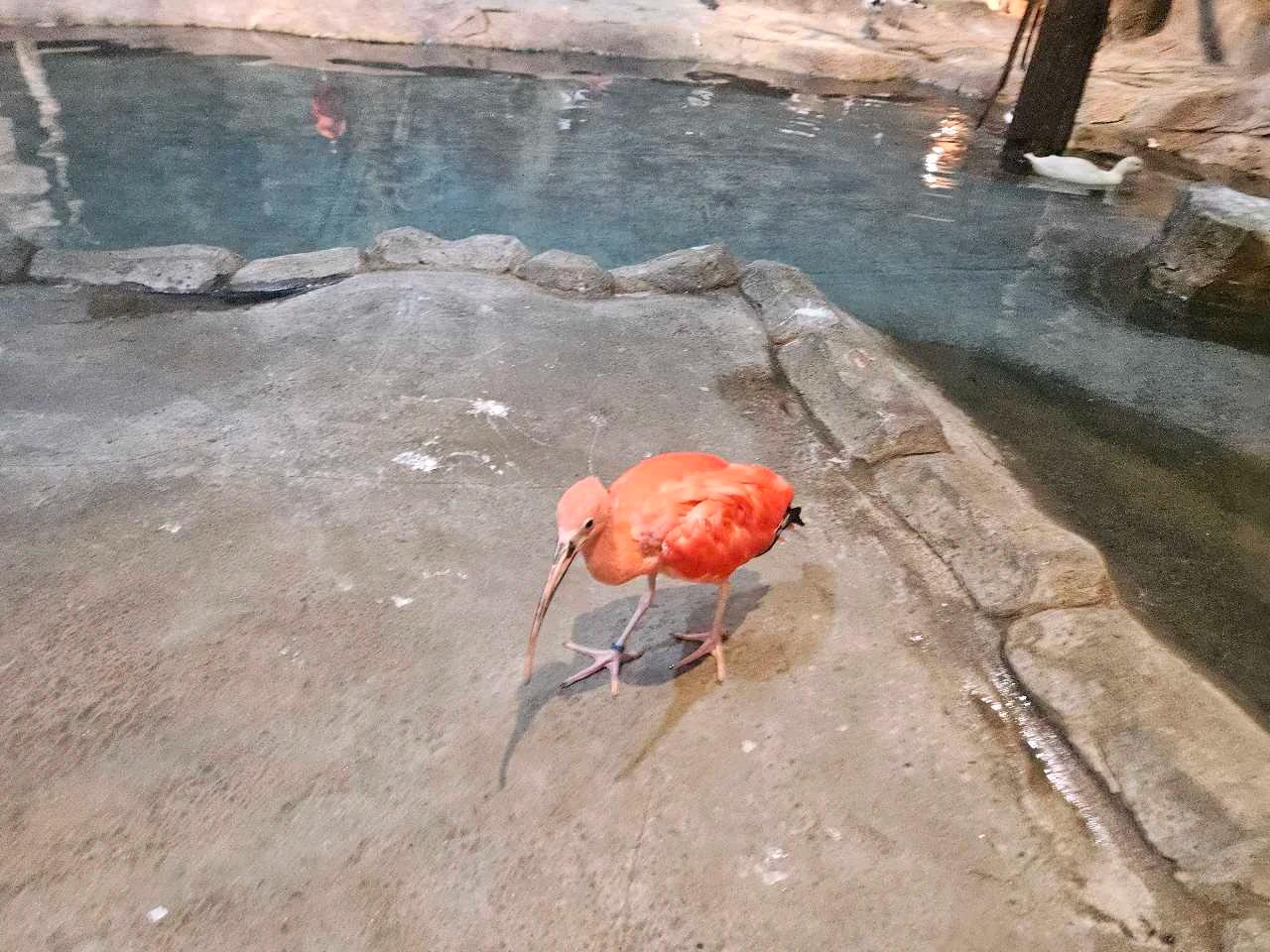 크루톡 이미지 2