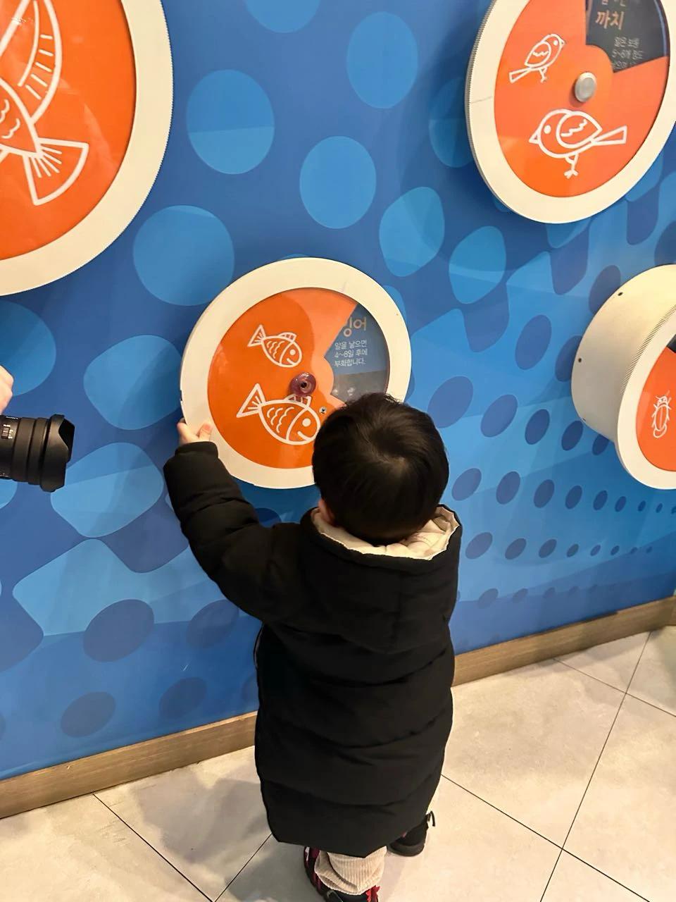 크루톡 이미지 7