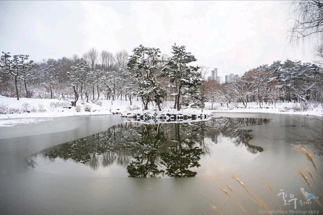 크루톡 이미지 3