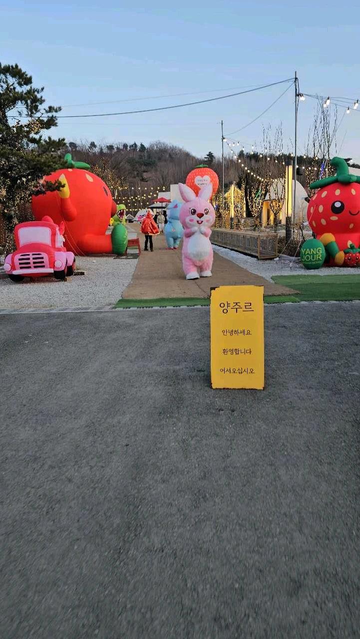 크루톡 이미지 1