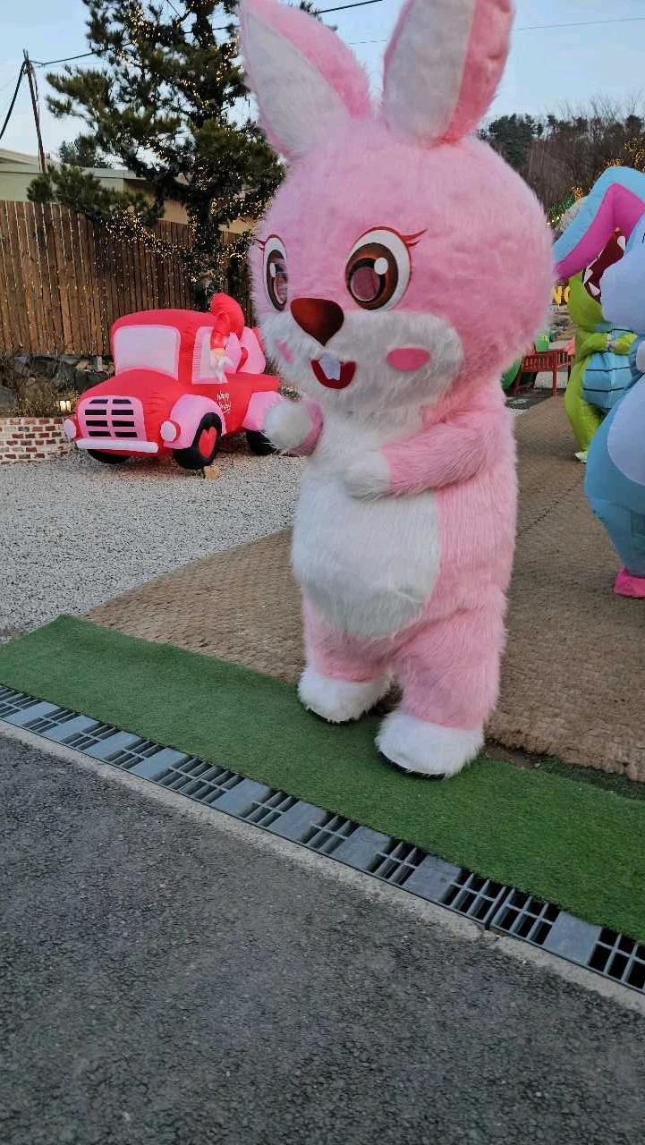 크루톡 이미지 2