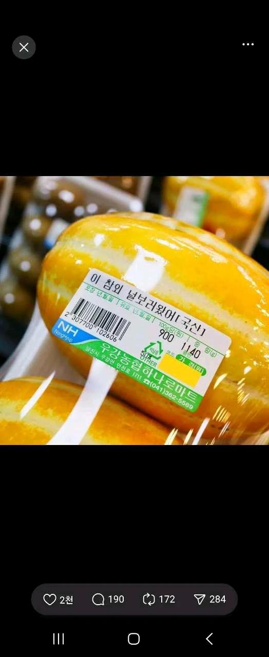 크루톡 이미지 1
