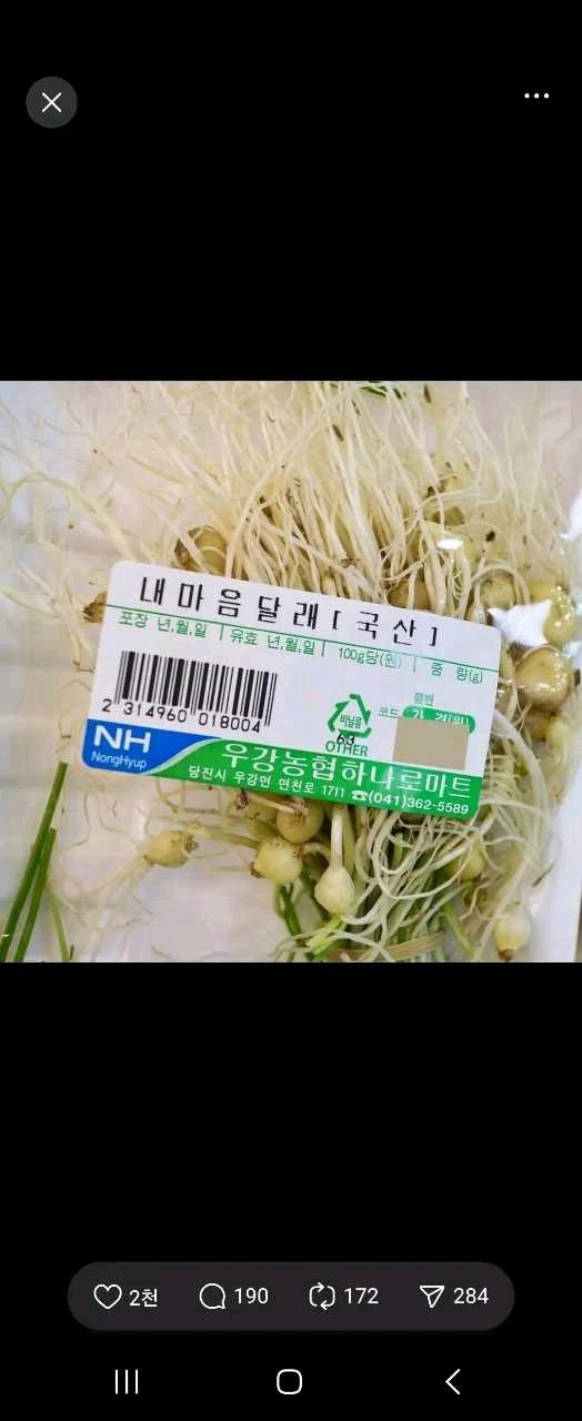 크루톡 이미지 2