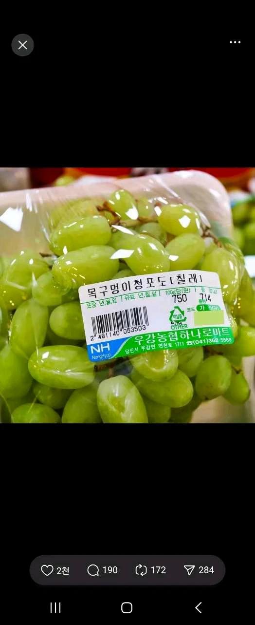 크루톡 이미지 6