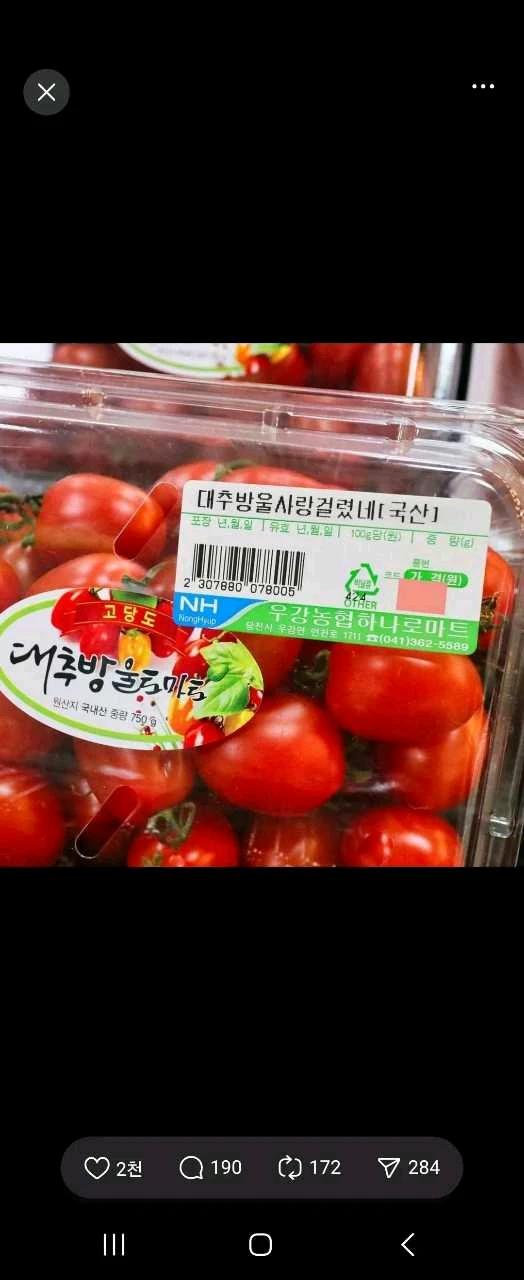 크루톡 이미지 7