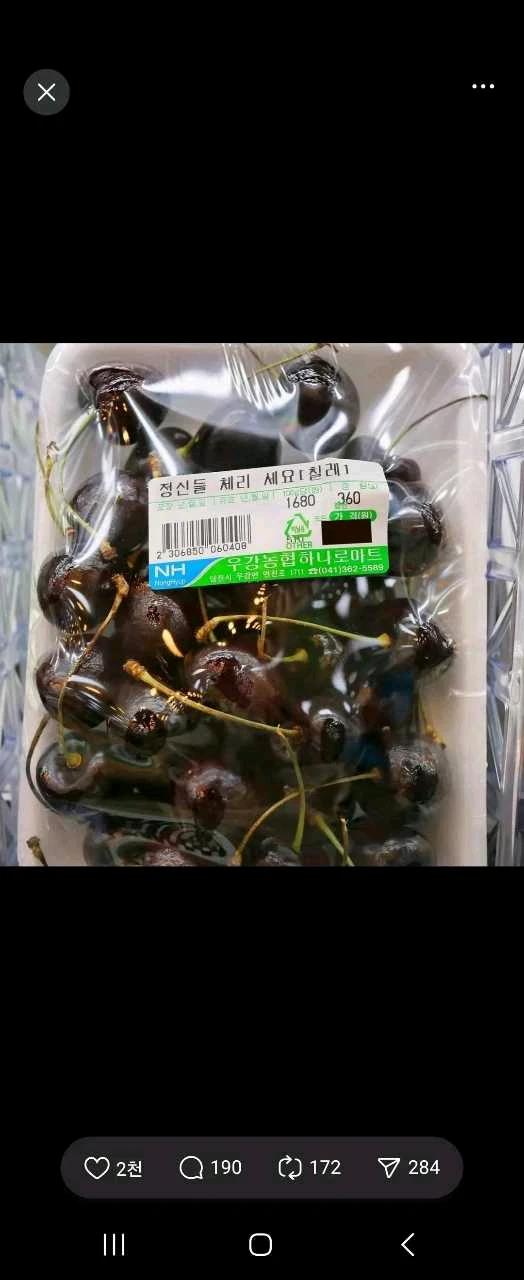 크루톡 이미지 8