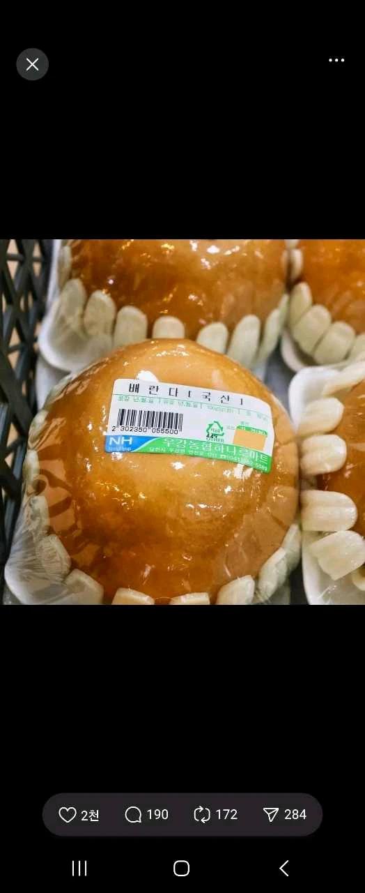 크루톡 이미지 10