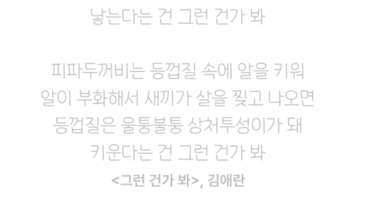 크루톡 이미지 3