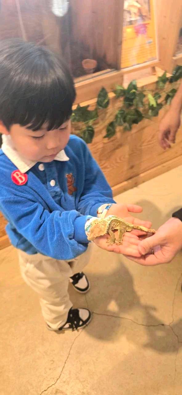 크루톡 이미지 5