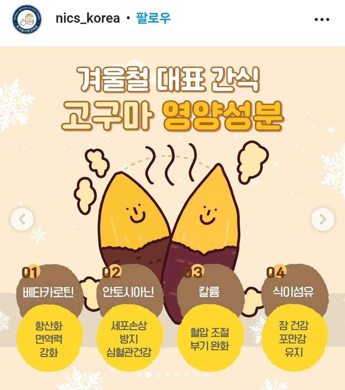 크루톡 이미지