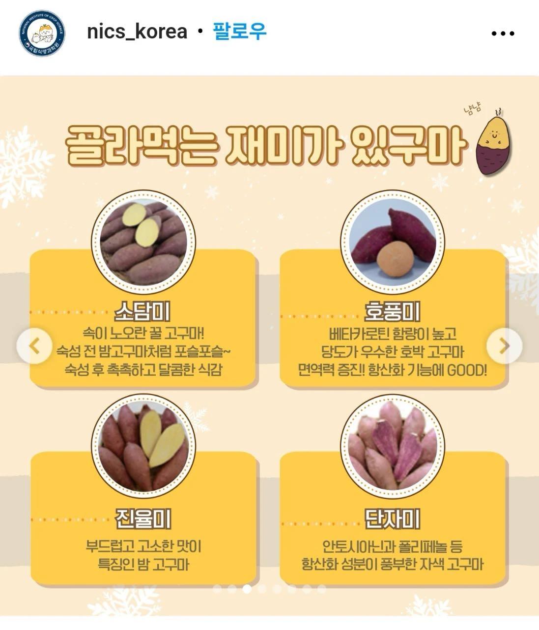 크루톡 이미지