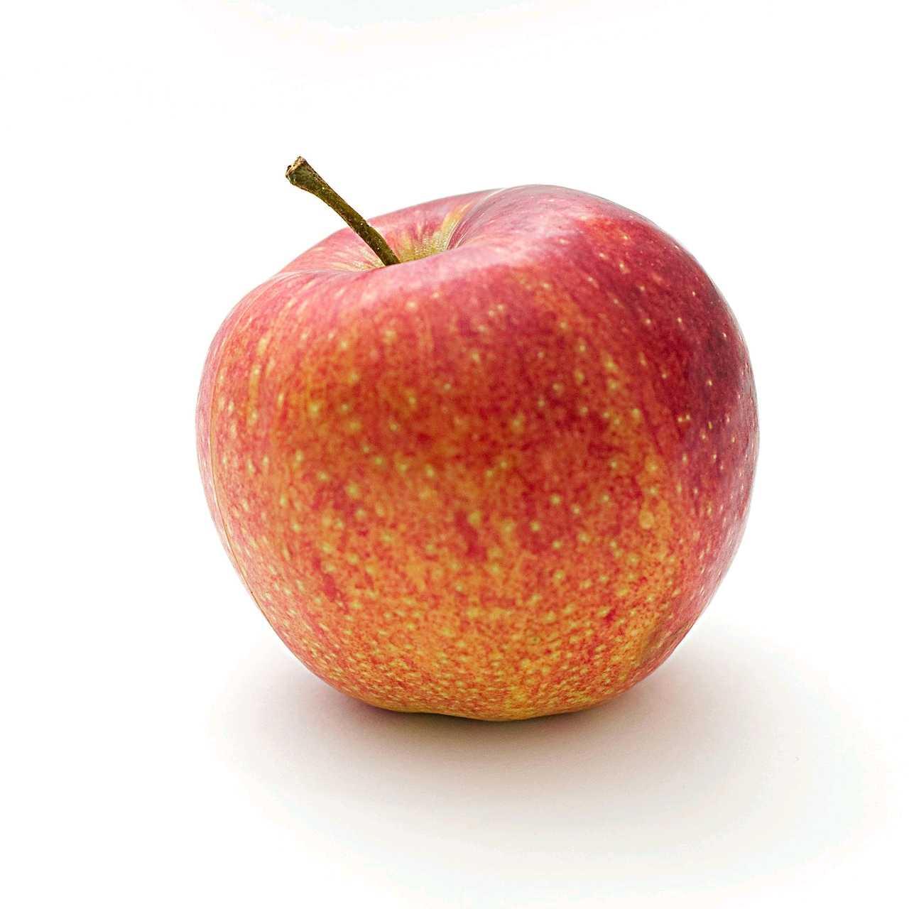 크루톡 이미지