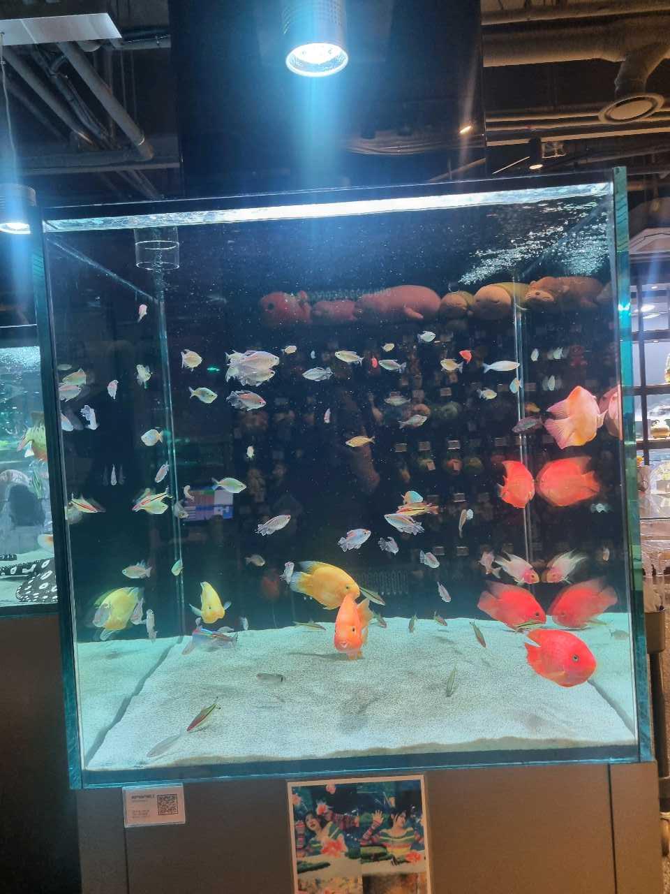 크루톡 이미지