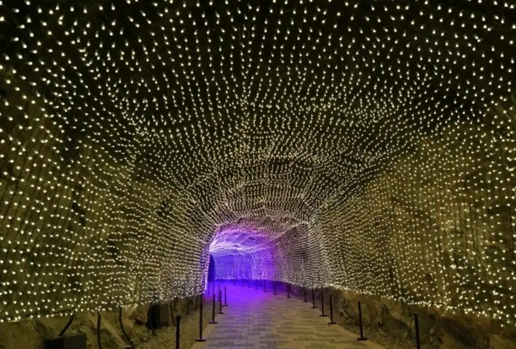 크루톡 이미지 5