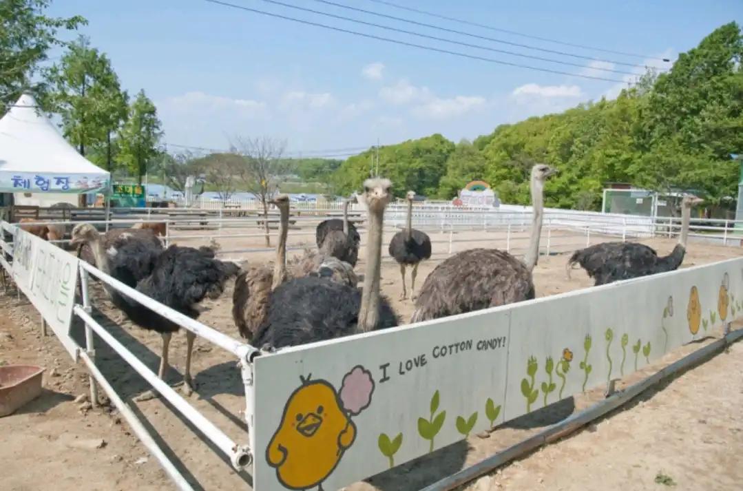 크루톡 이미지