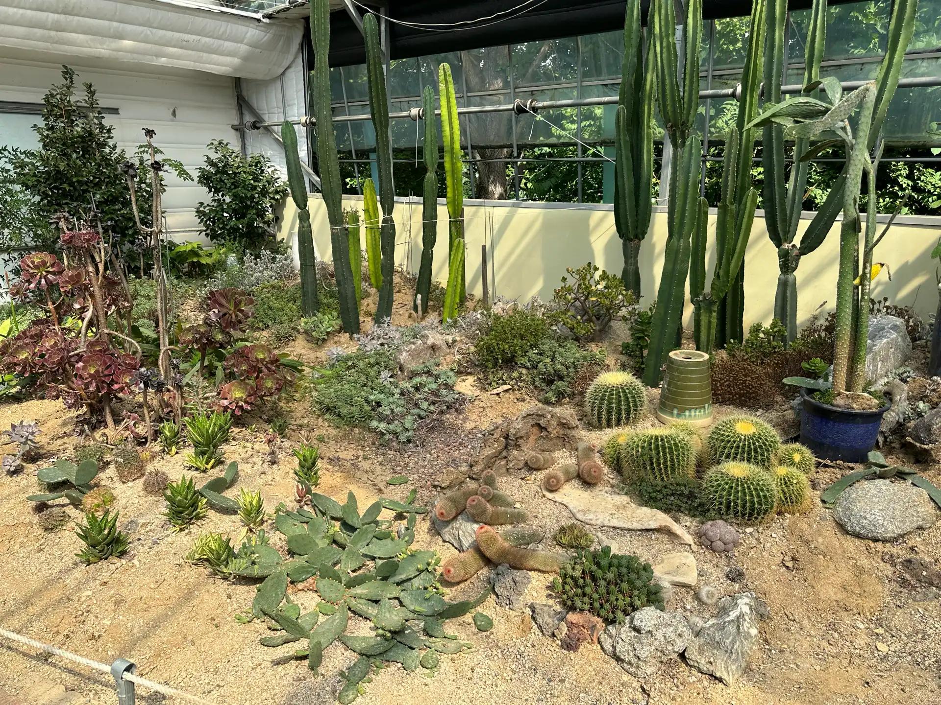 크루톡 이미지 1